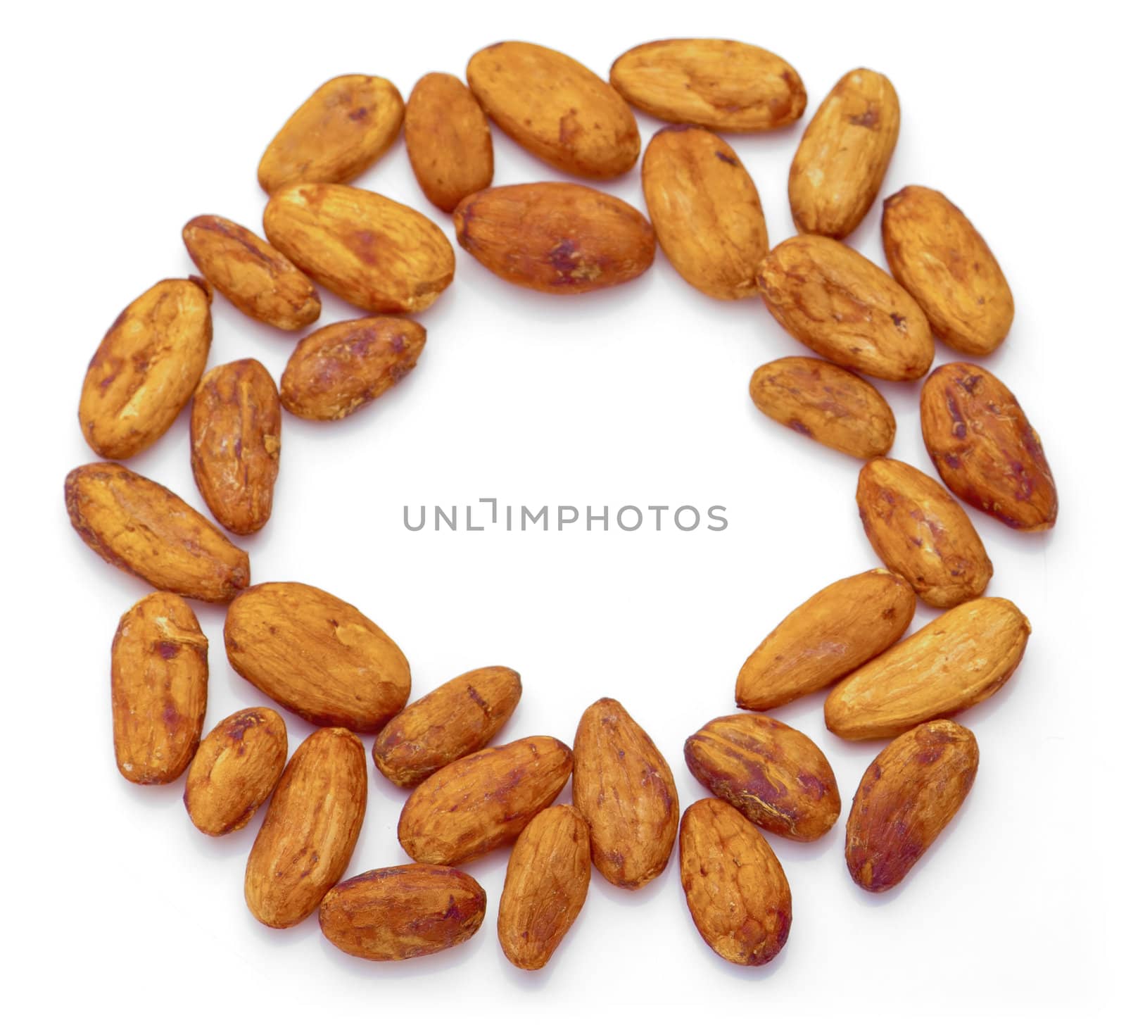 Raw cacao beans arranged in circle shape. Isolated on white background.