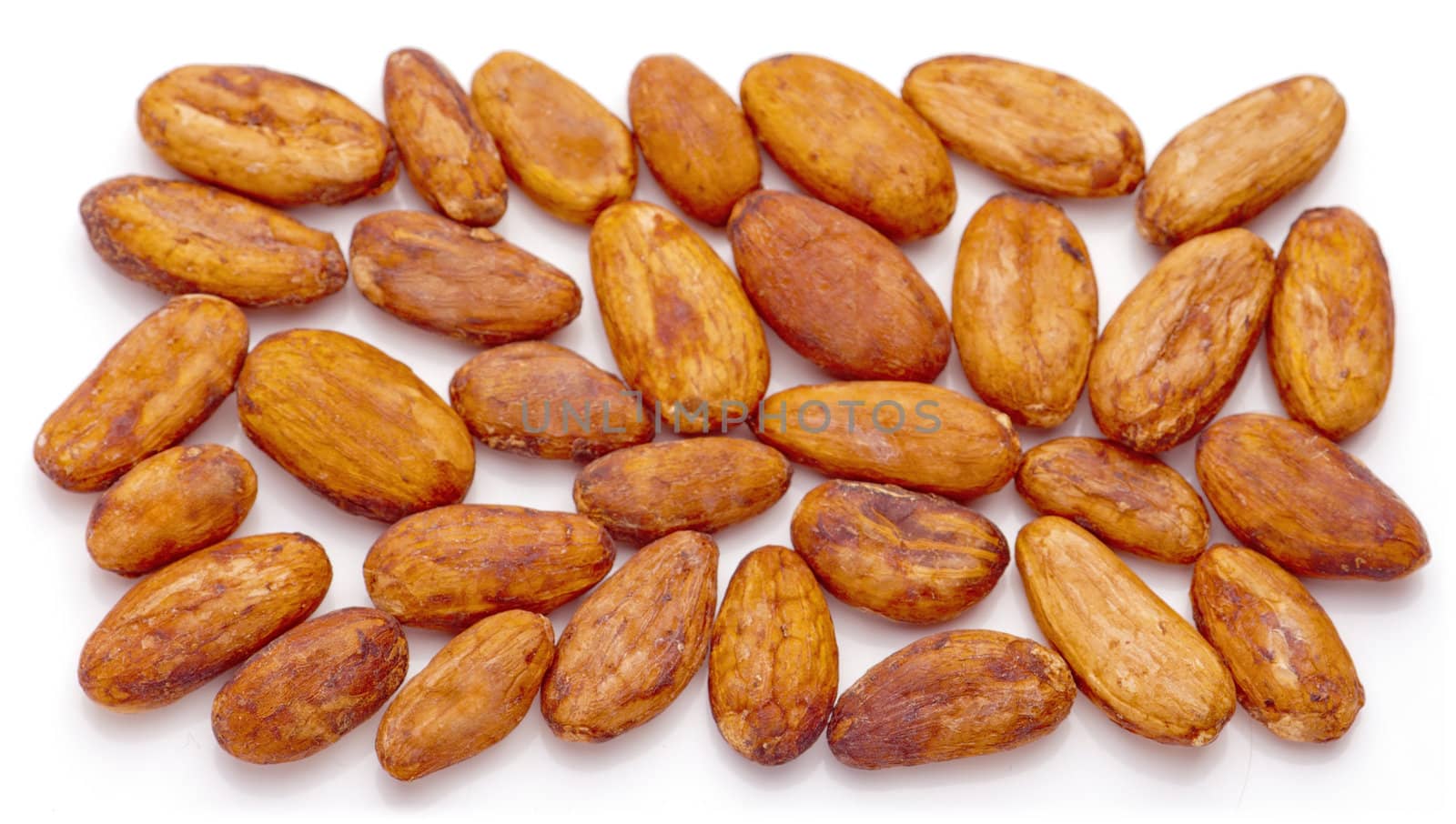 Raw cacao beans arranged in rectangle shape. Isolated on white background.