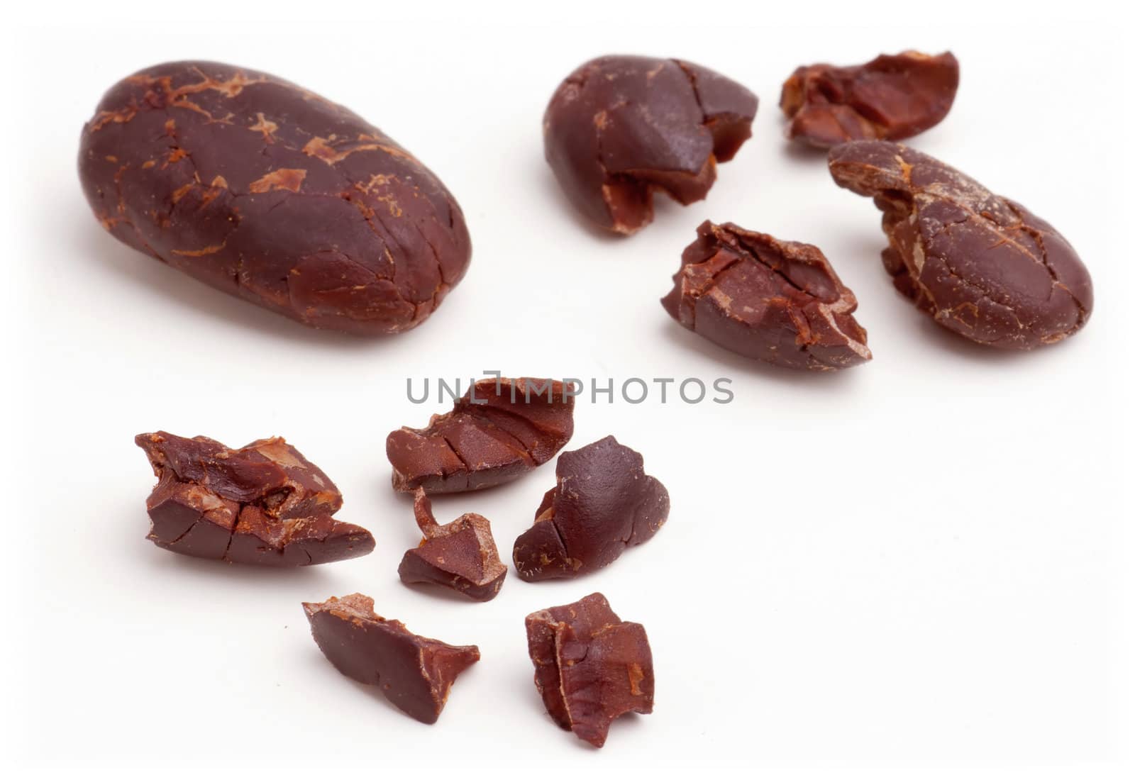 Raw cacao beans peeled isolated on white background.