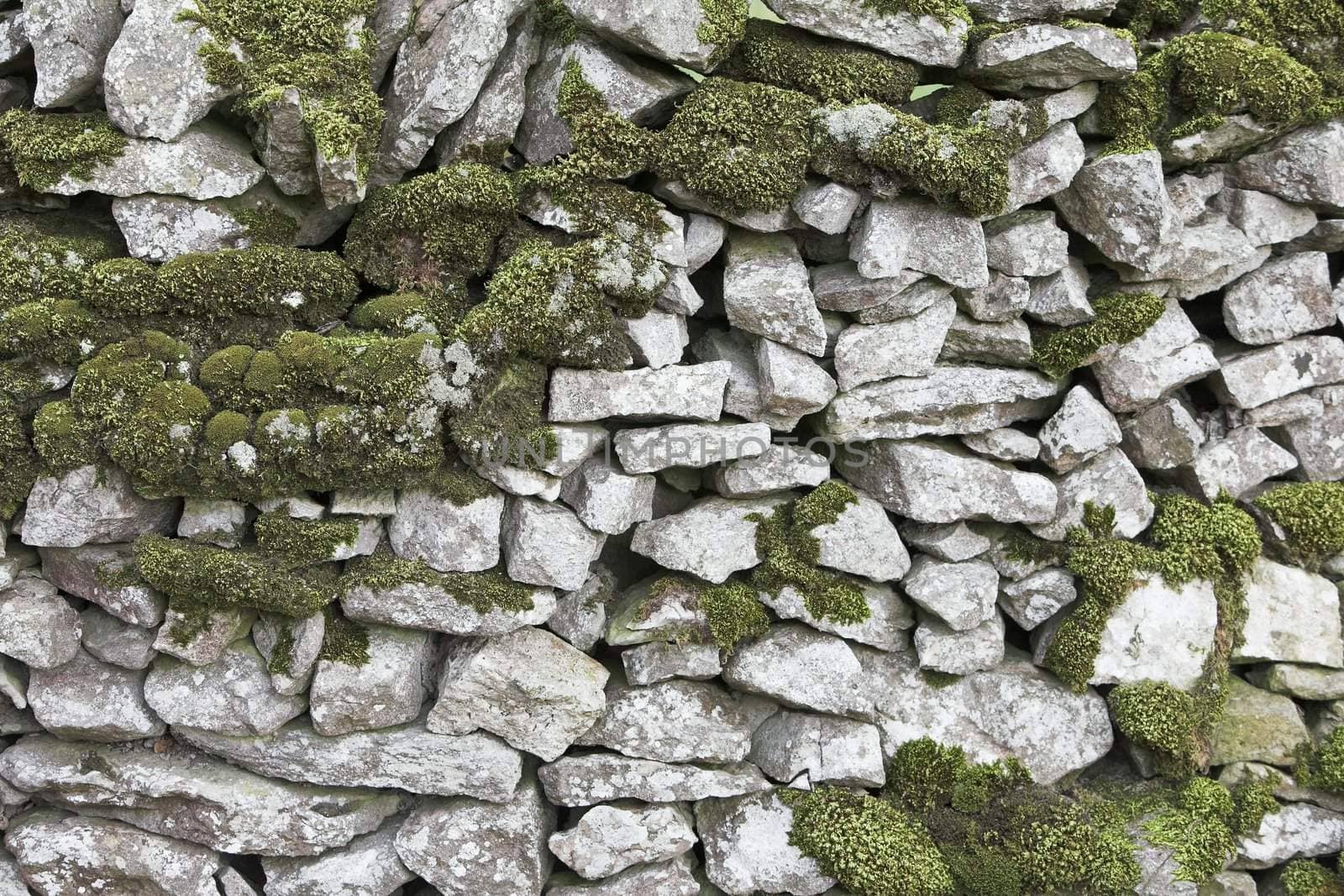 Dry stone wall with moss and lichens