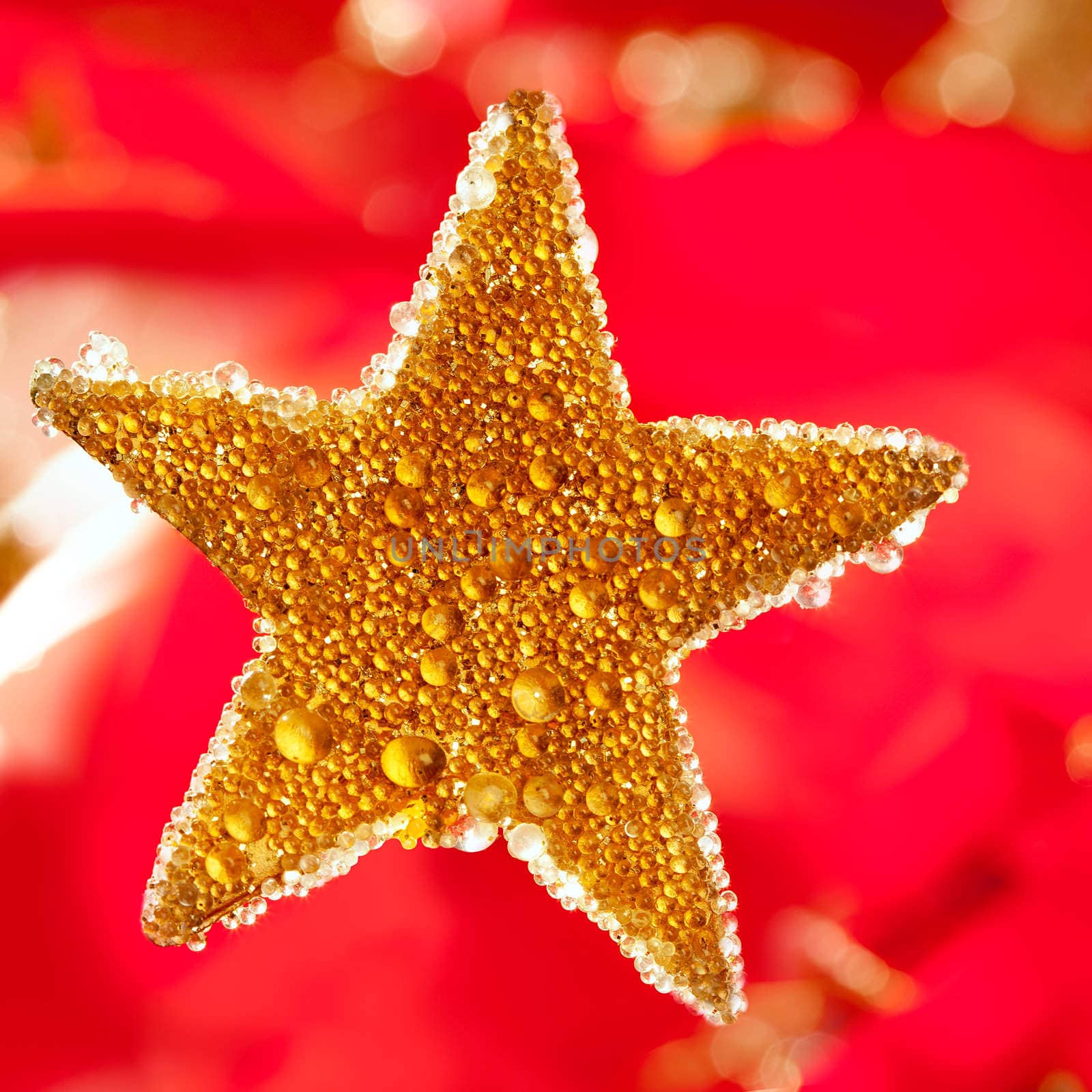 christmas golden drops star in red background