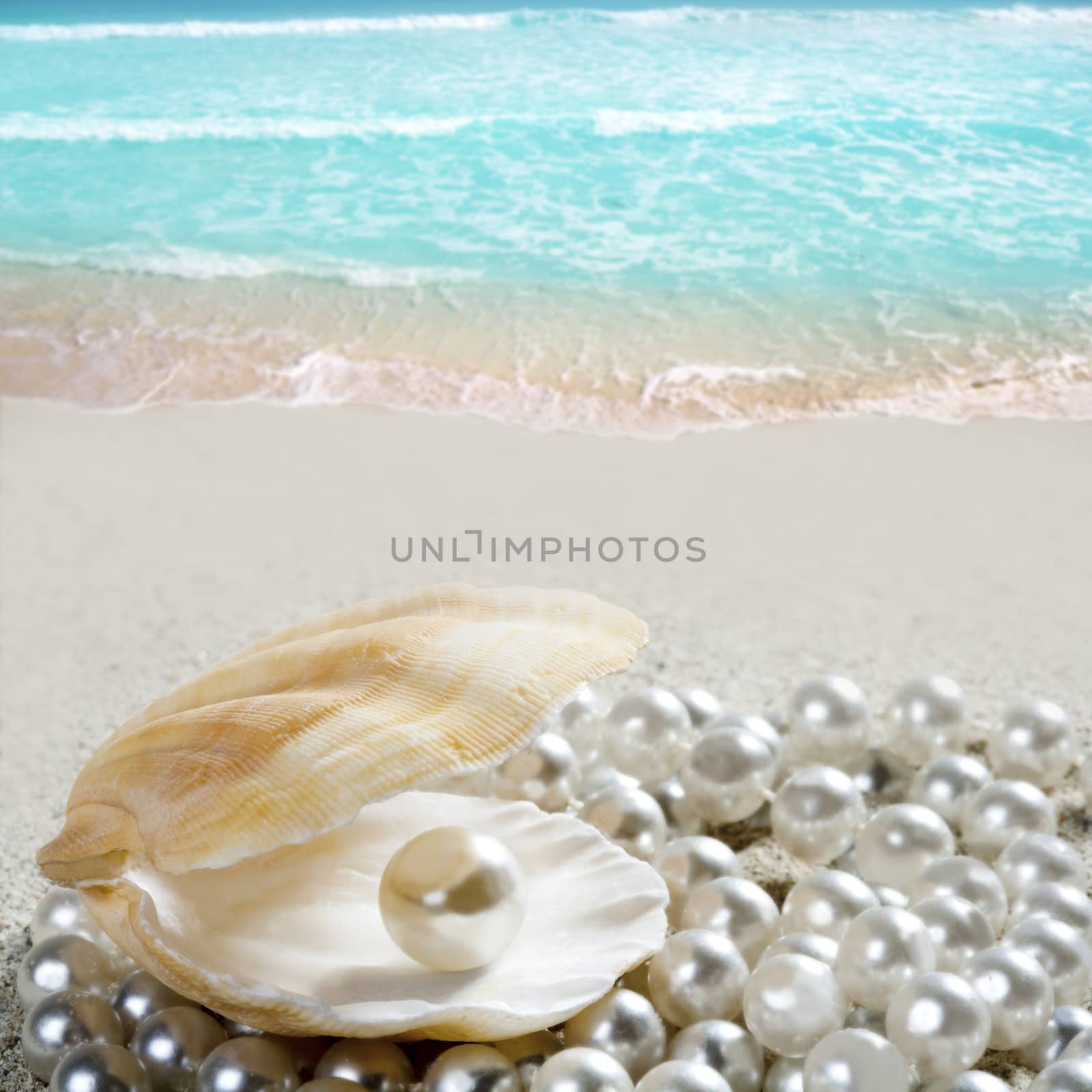 Caribbean pearl inside clam shell over white sand beach in a tropical turquoise sea