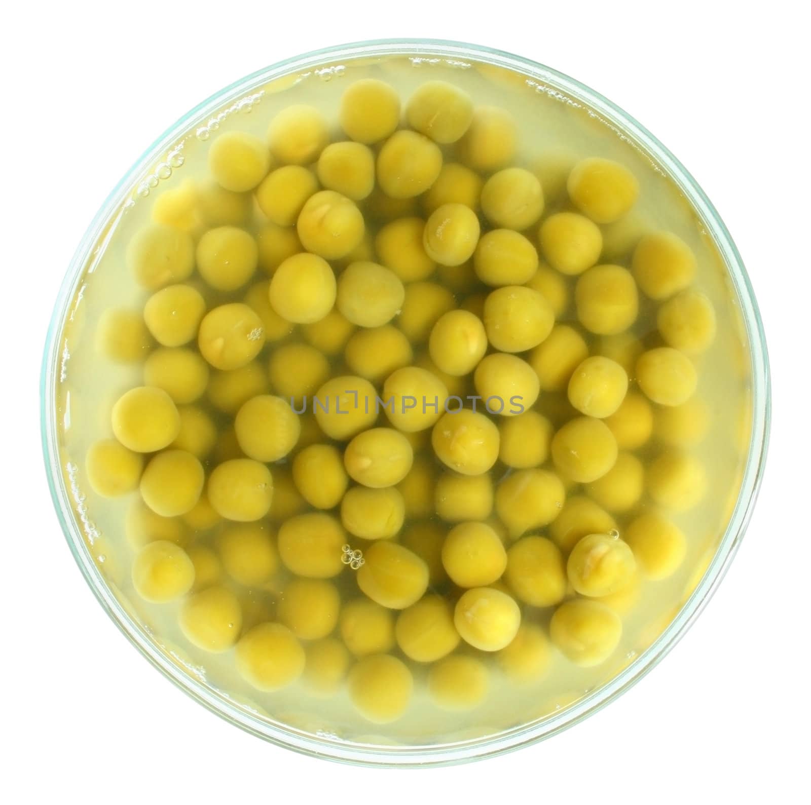 Canned peas on a white background.