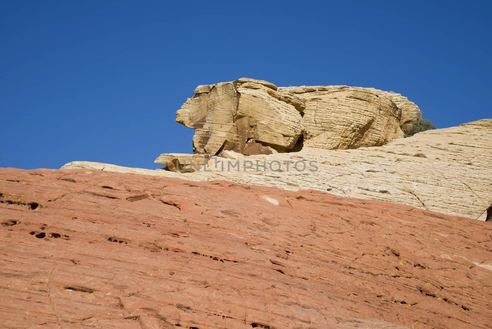 A rabbit shaped rock formation at Red Rock Canyon, Nevada