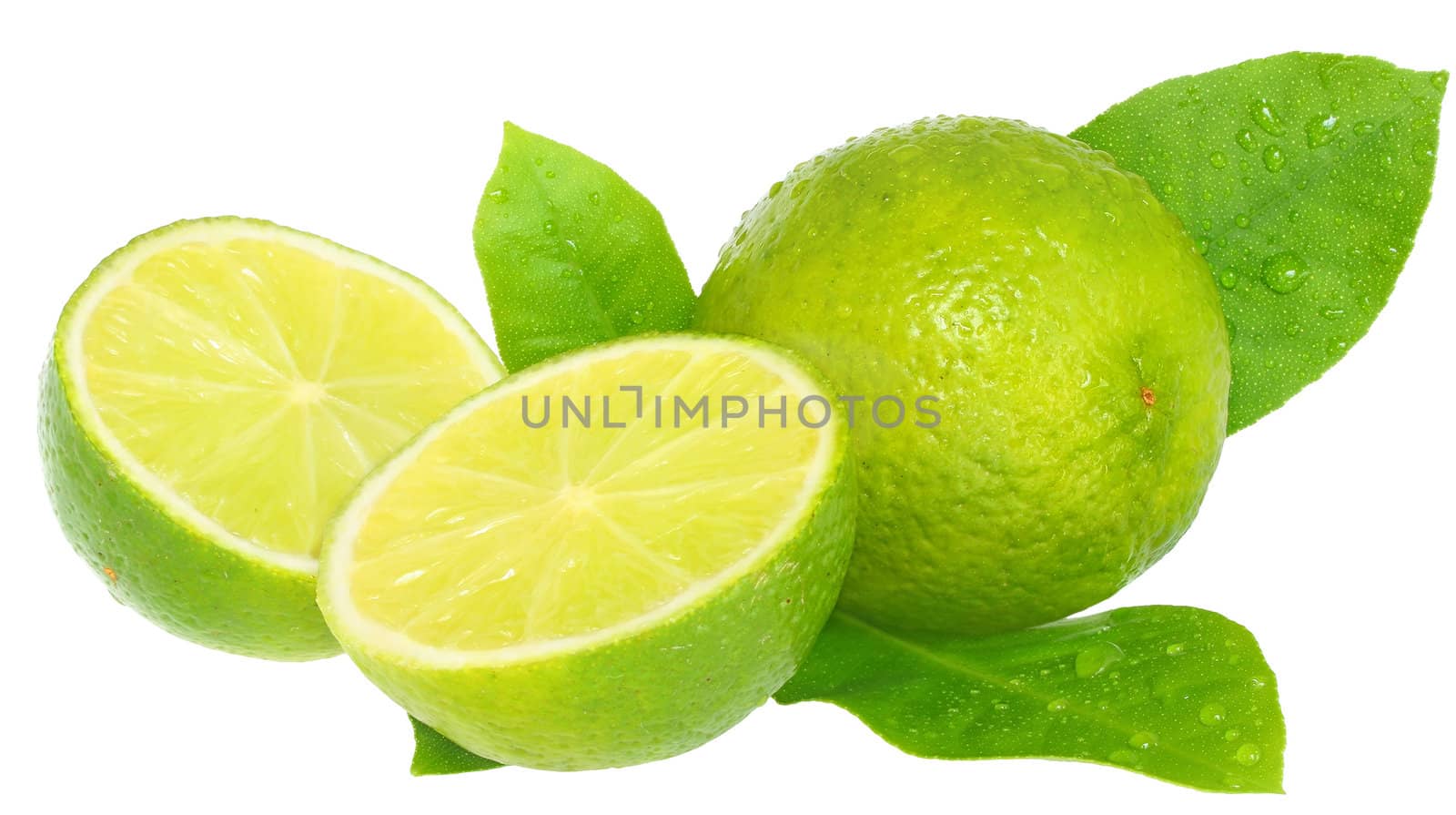 The lemon on a white background.