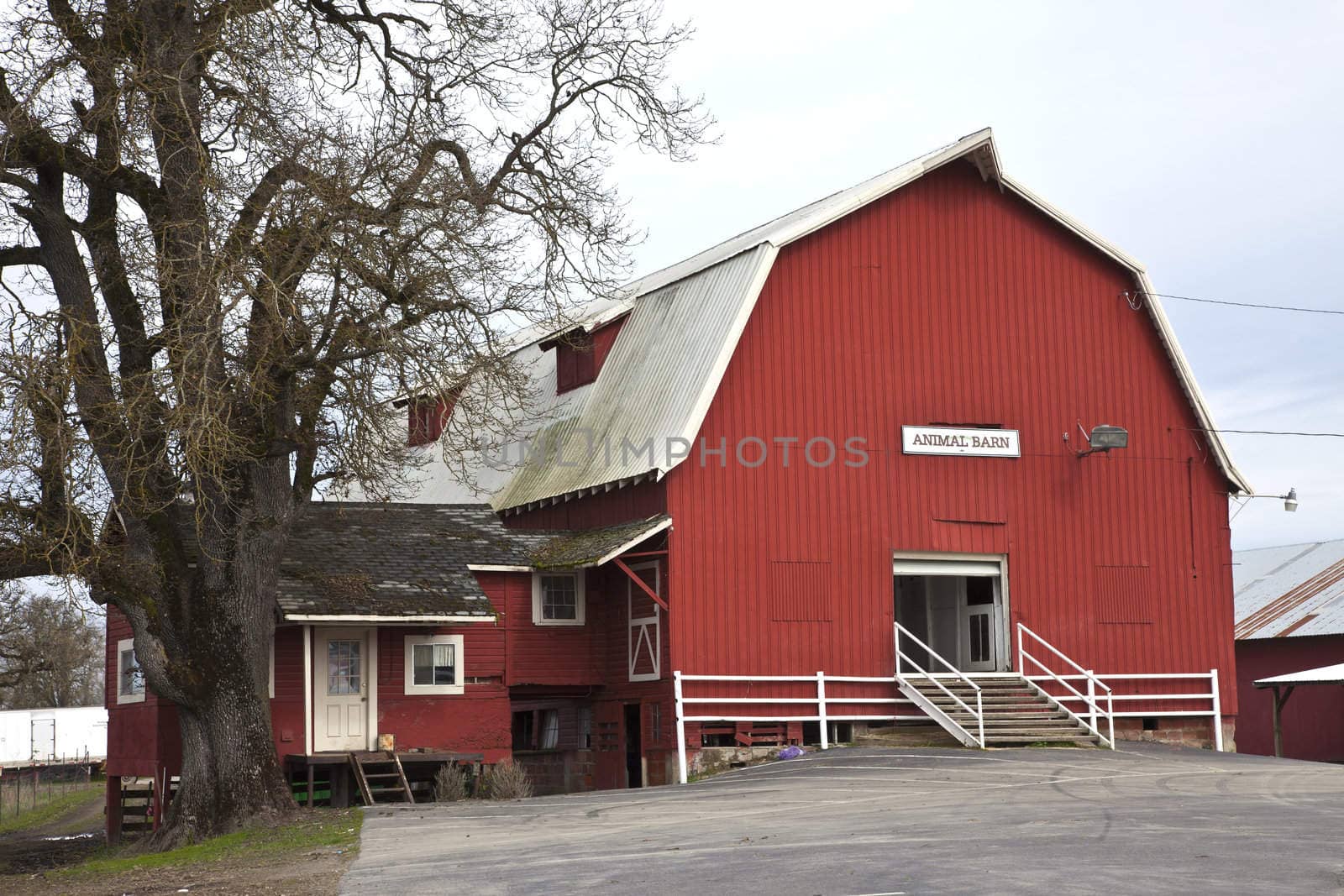 Animal Barn in Suvie Island Oregon.