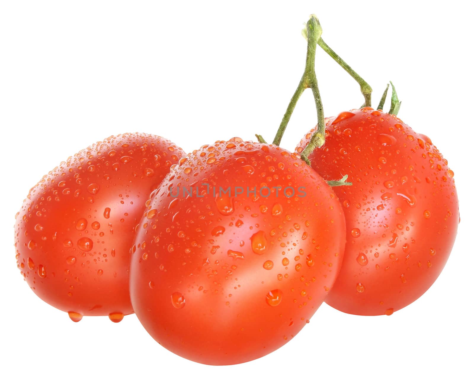 Ripe tomato on a white background.