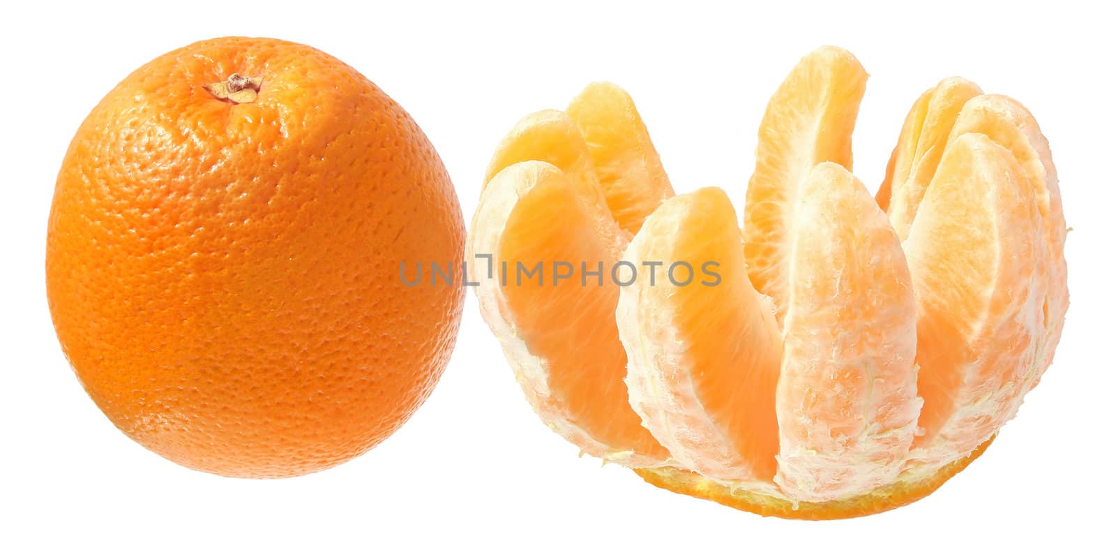 Ripe orange on a white background