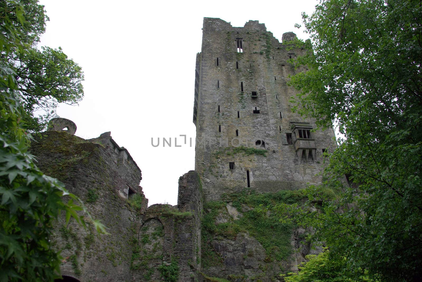 A side view of Blarney Castle in Ireland