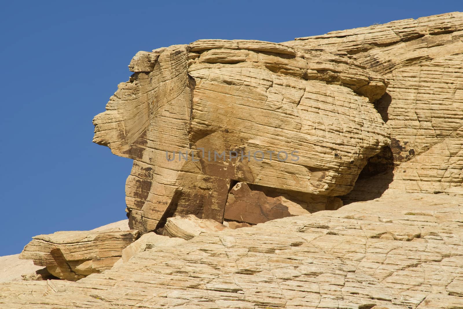 A rabbit shaped rock formation at Red Rock Canyon, Nevada
