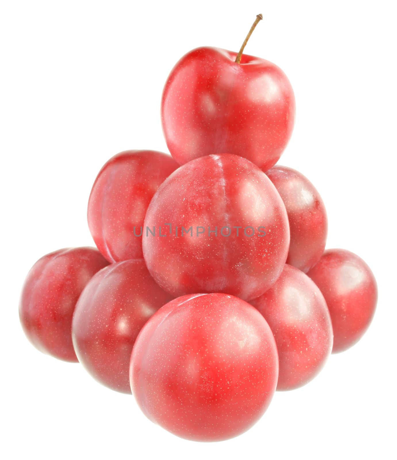 Ripe plums on a white background.