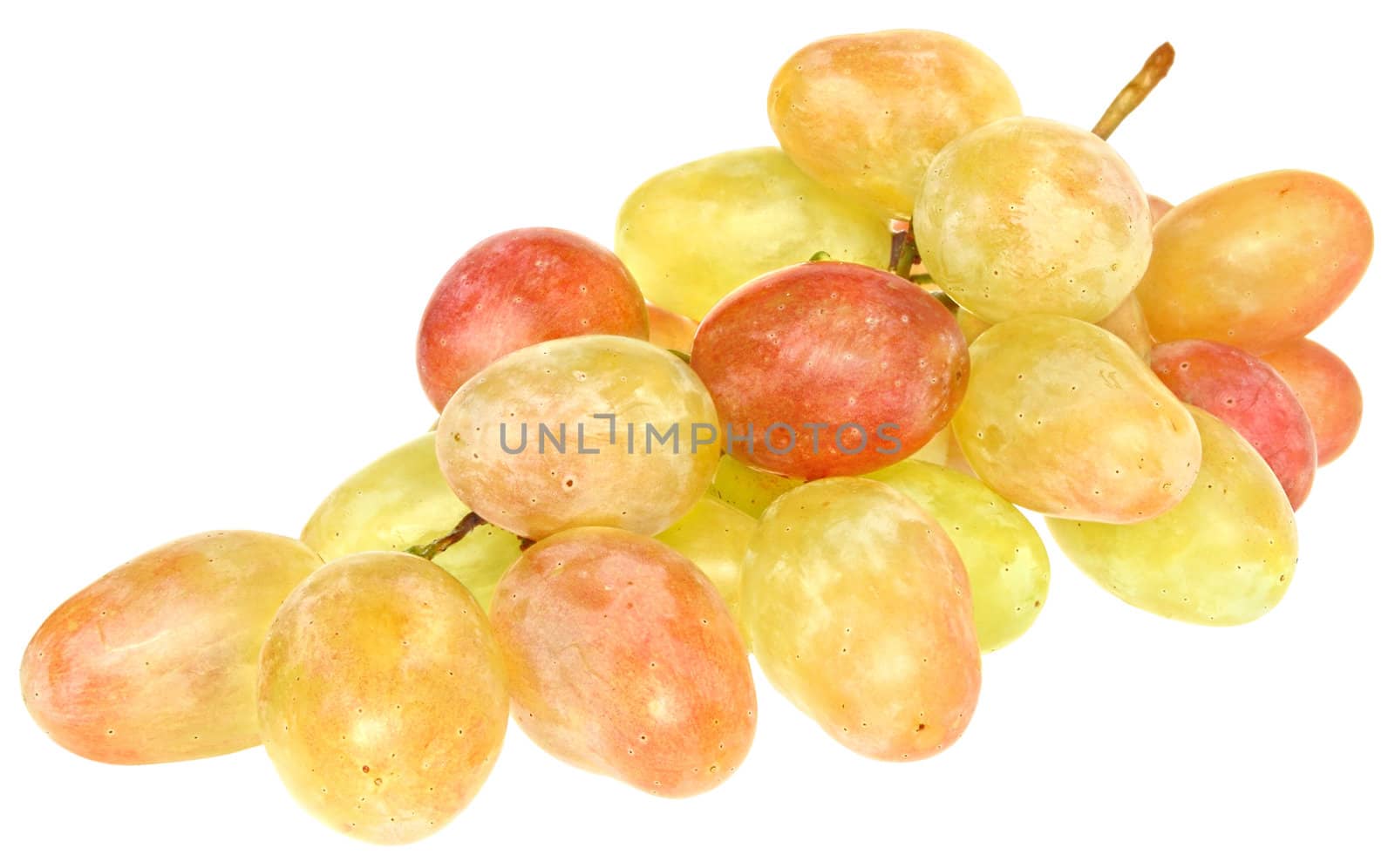 Mature grapes on a white background.