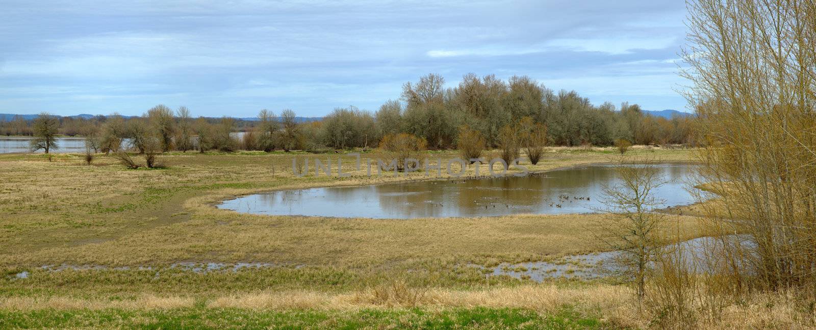 Panoramic wildlife refuge area in Suvie Island Oregon