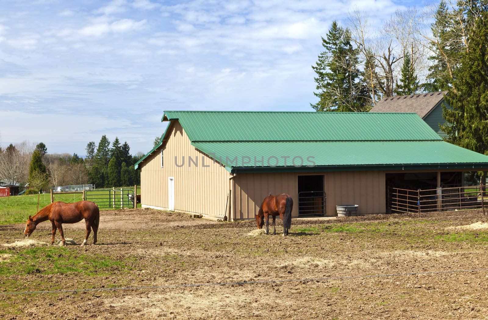 Feeding horses and barn in rural Oregon. by Rigucci