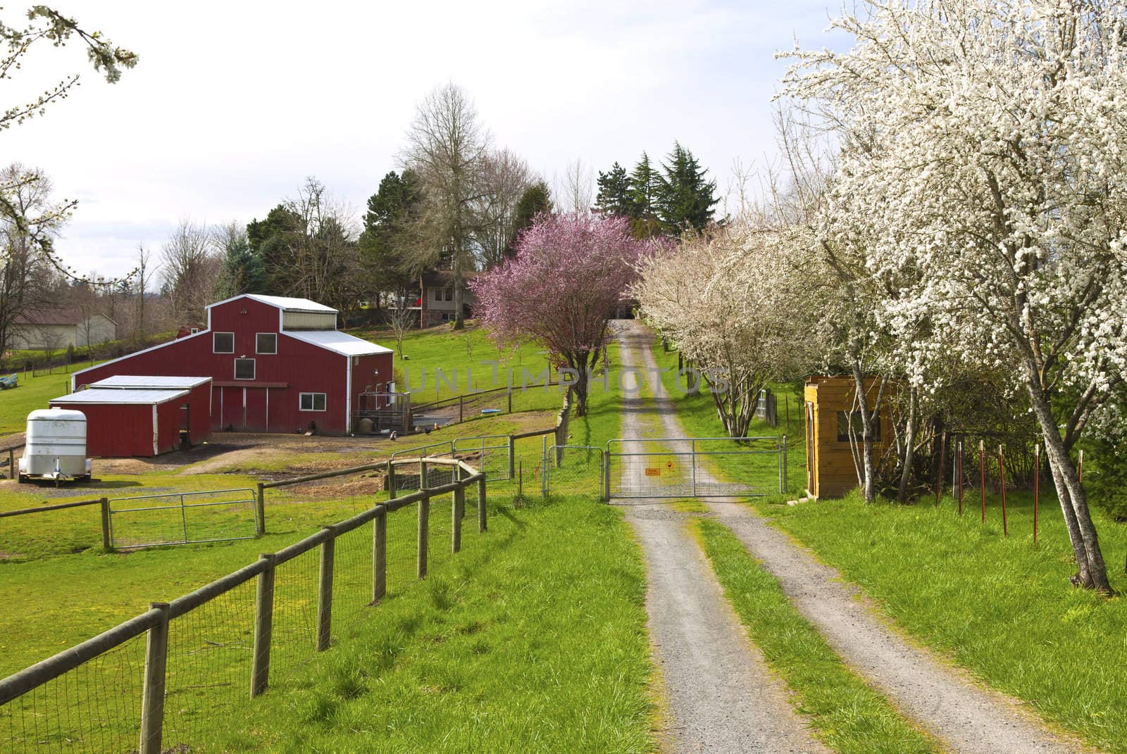 Family farm in Spring in rural Oregon.
