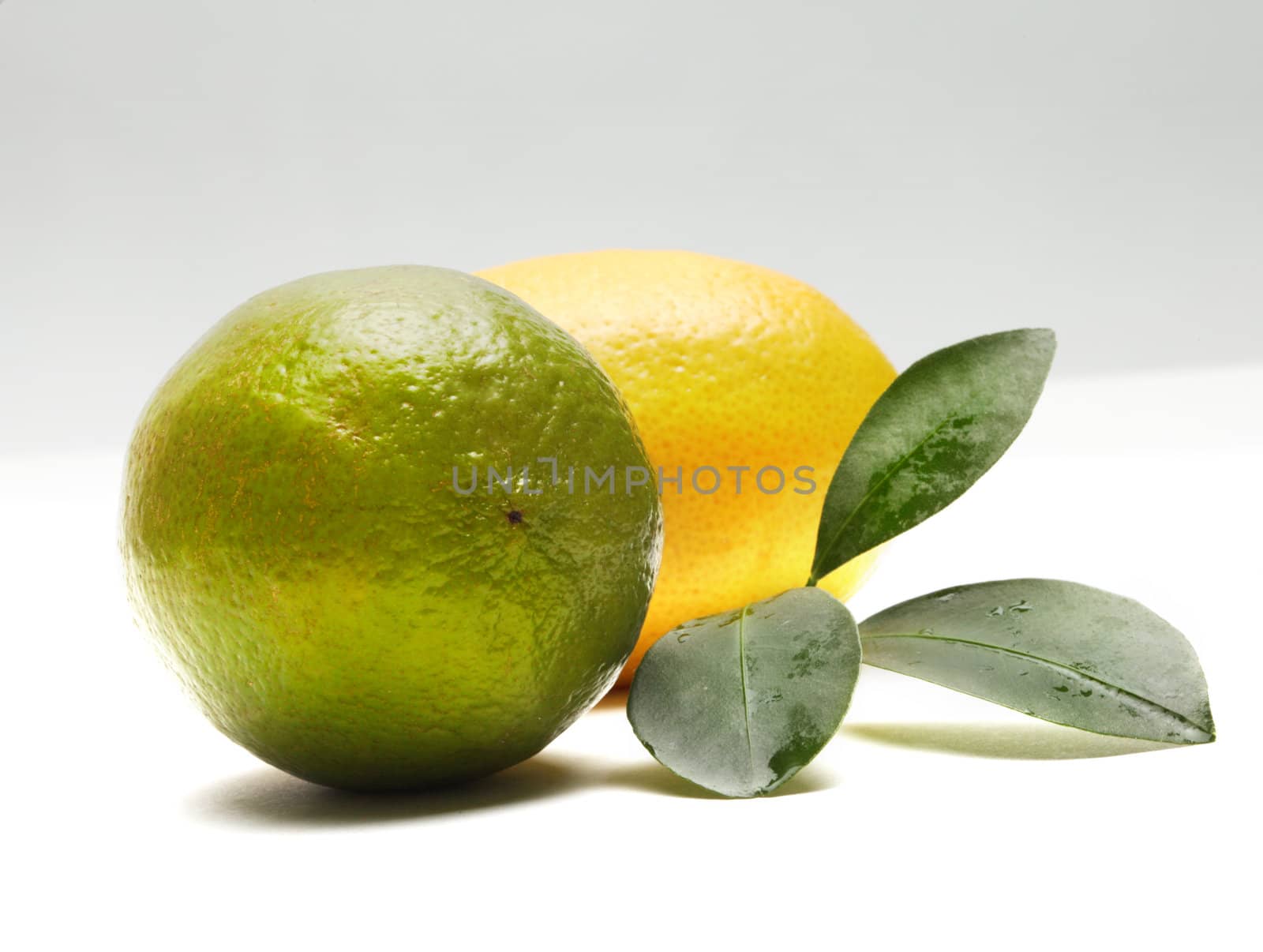 lime and lemon