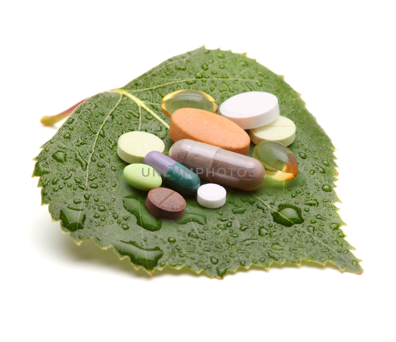 vitamins, tablets and pills on green leaf