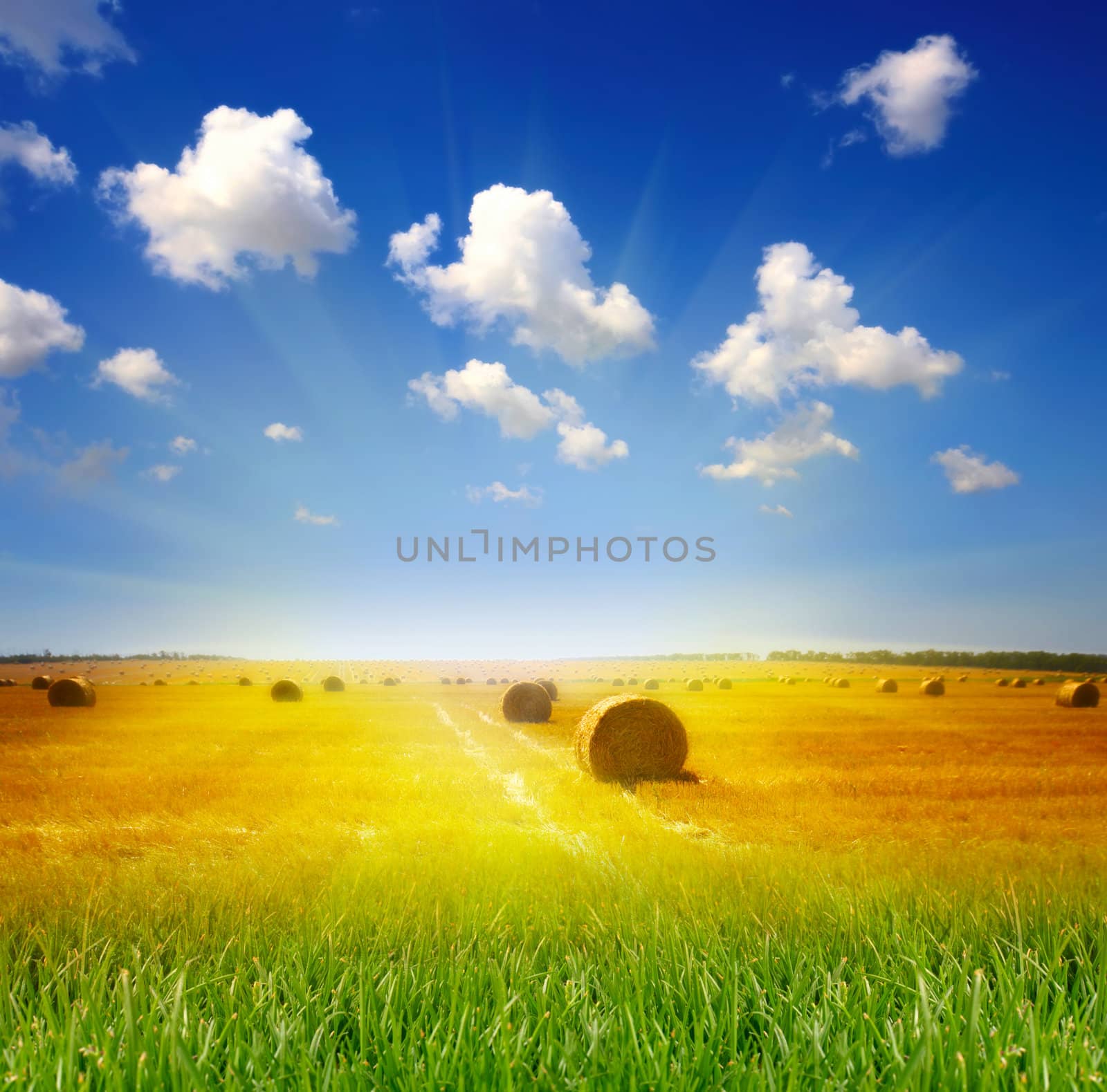 haystack on the meadow in summer