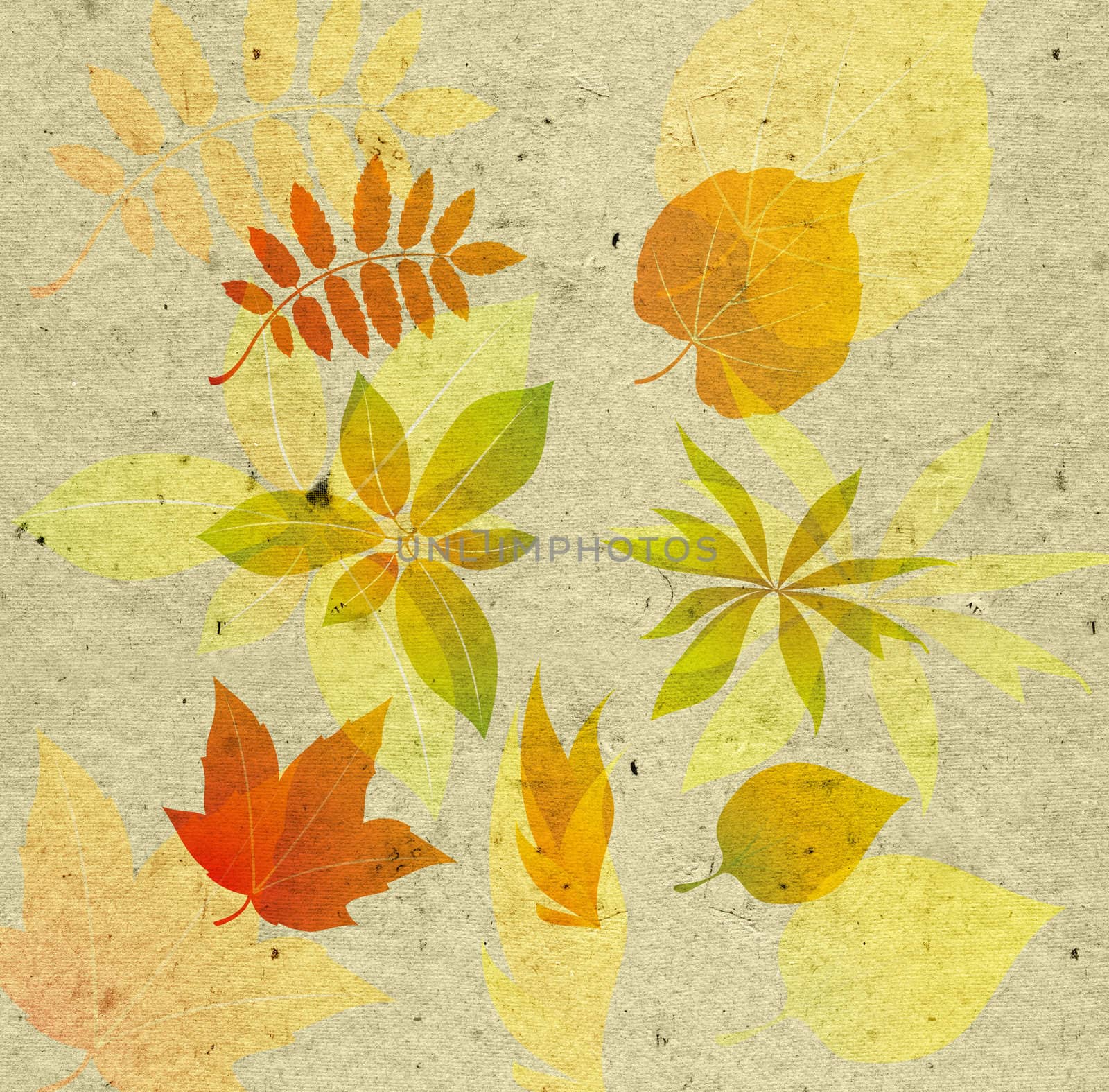 textured background with autumn leaf by rudchenko