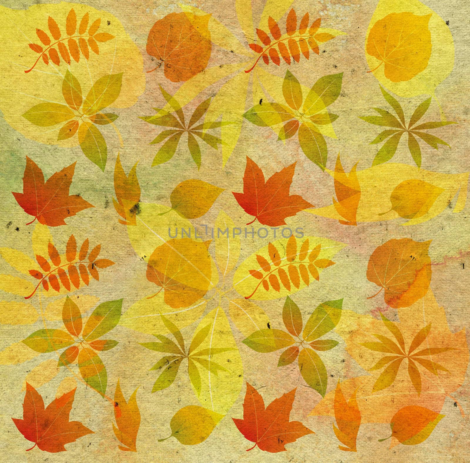 textured background with autumn leaf by rudchenko