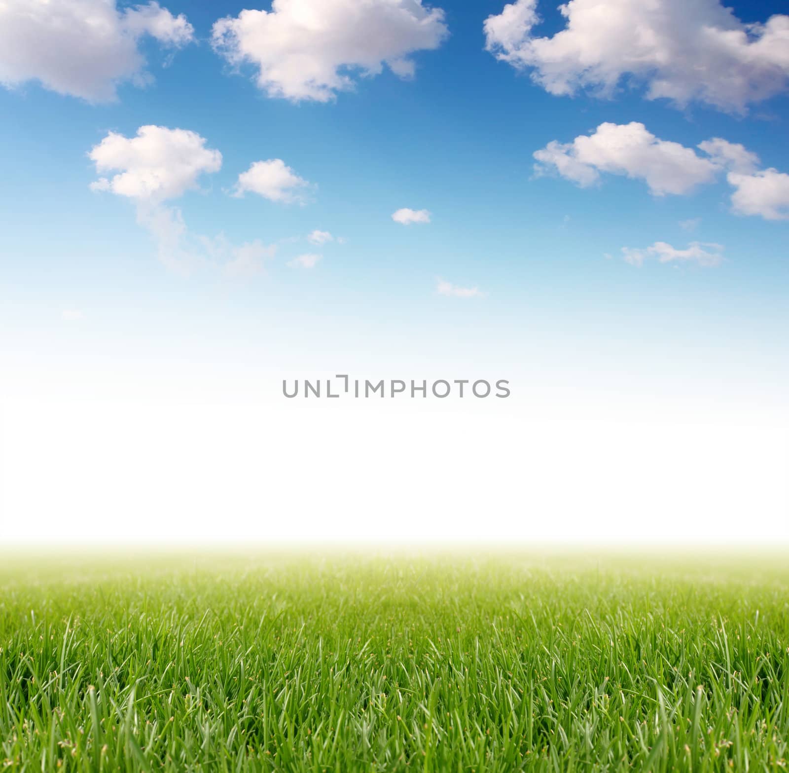 green grass under blue sky by rudchenko