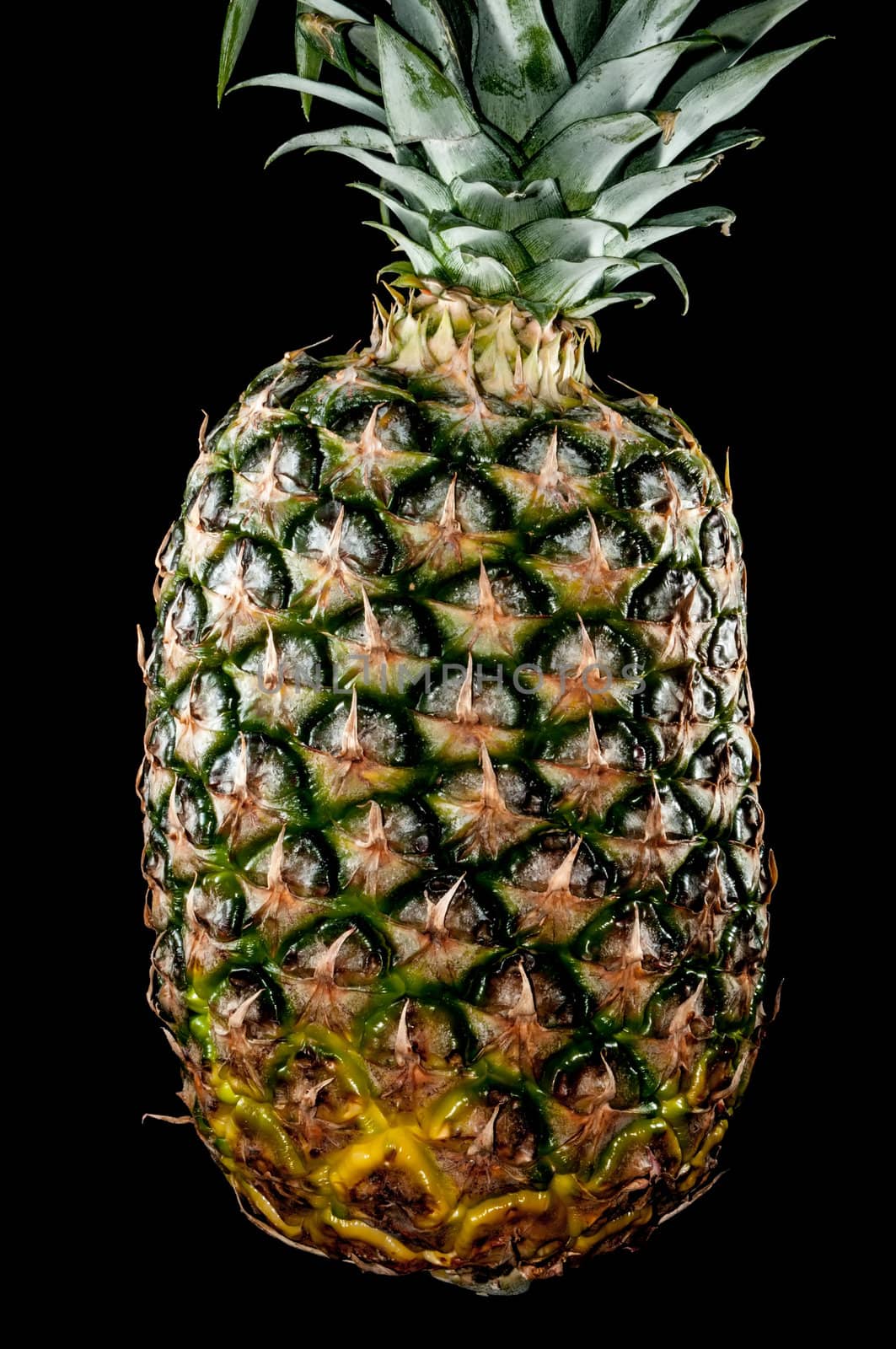 Pineapple fruit isolated on black background