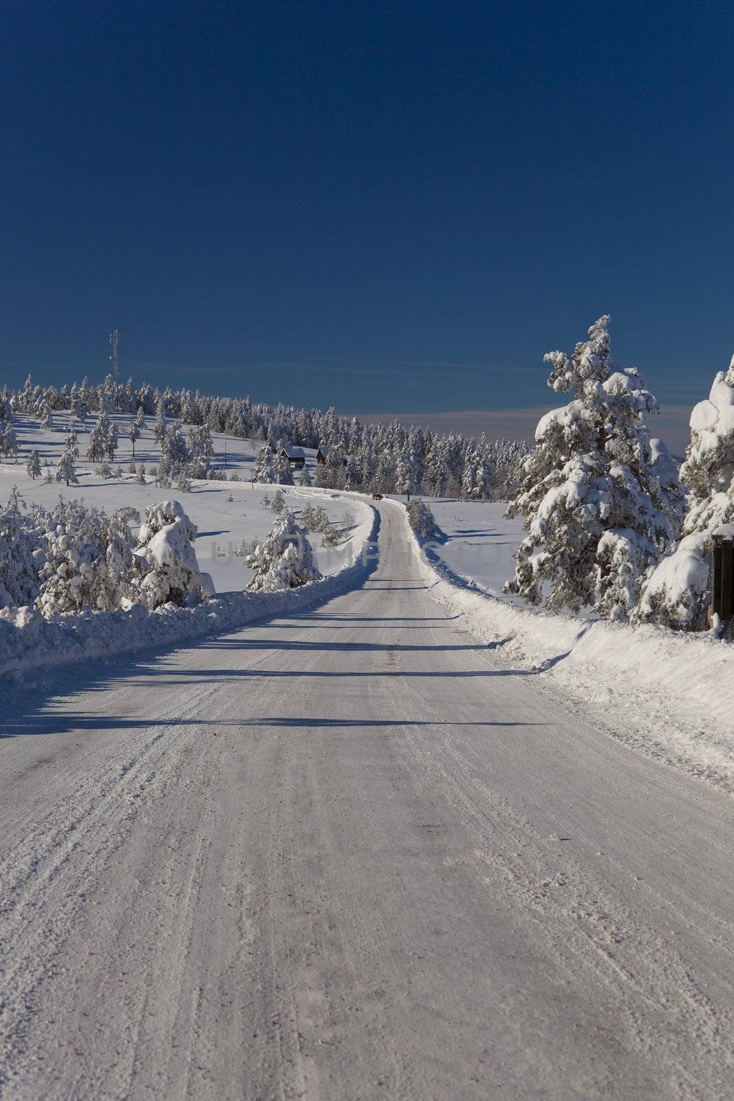 Winter road by adamr