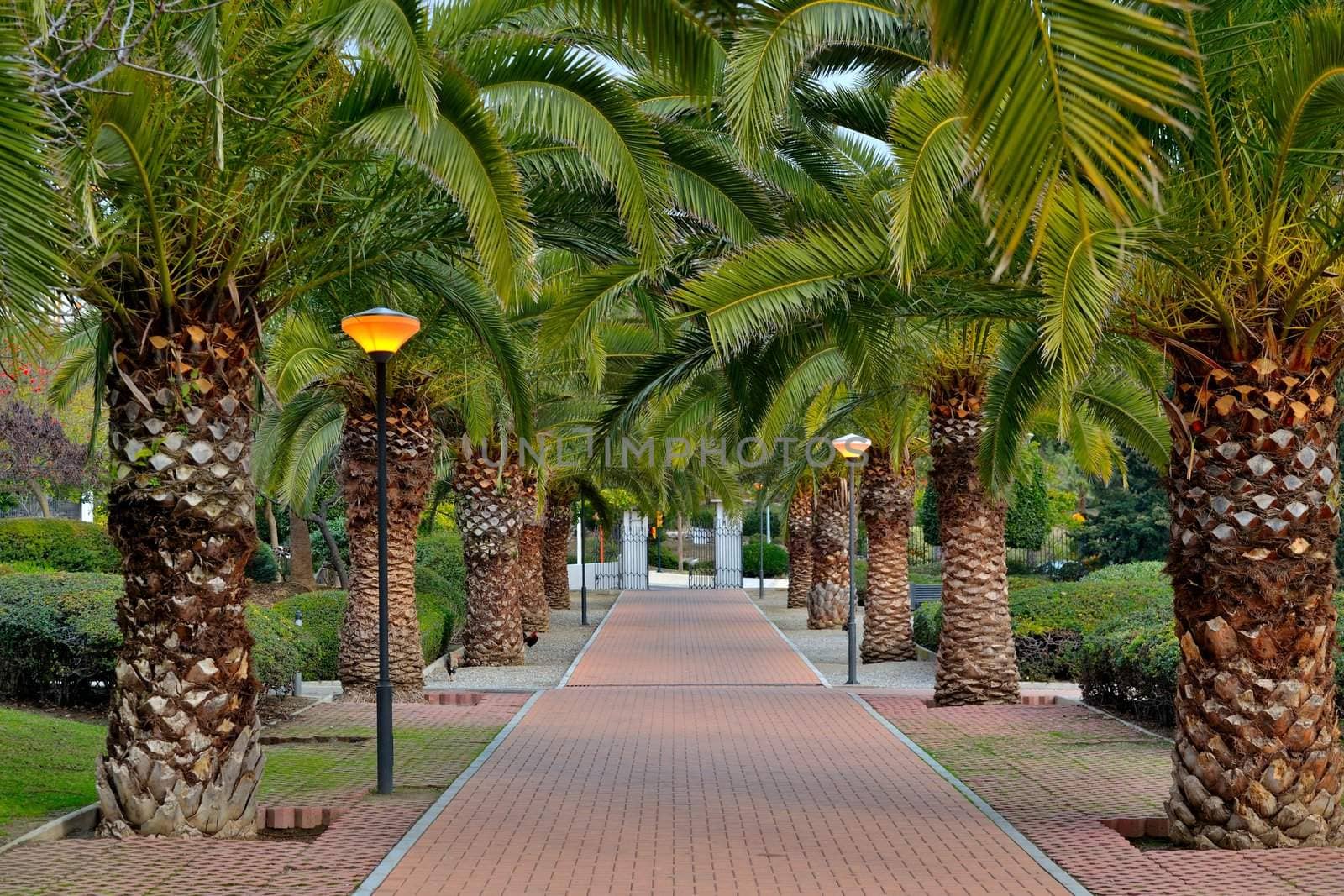 Park de las Palomas, located in Benalmadena