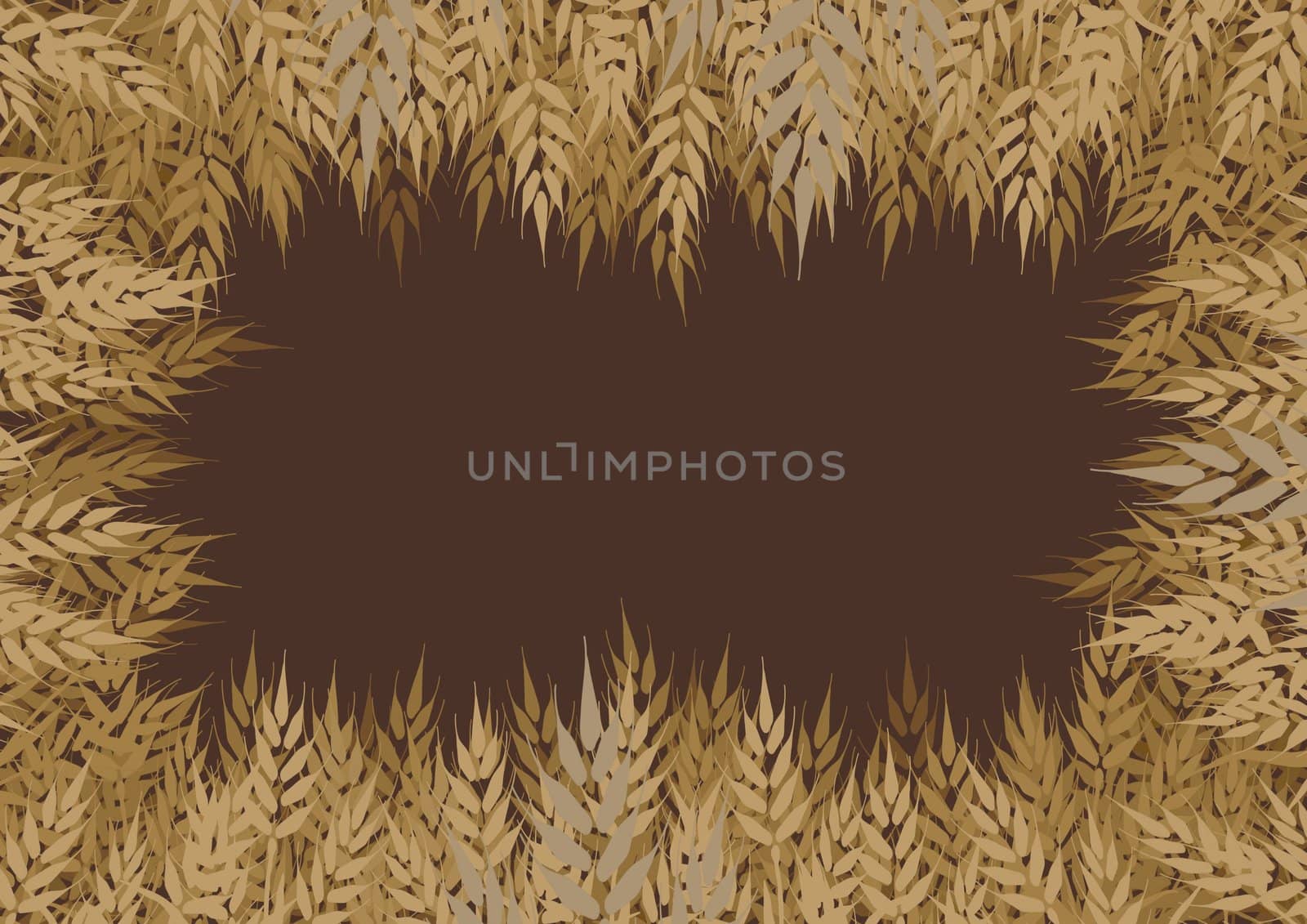 Illustrated frame of corn