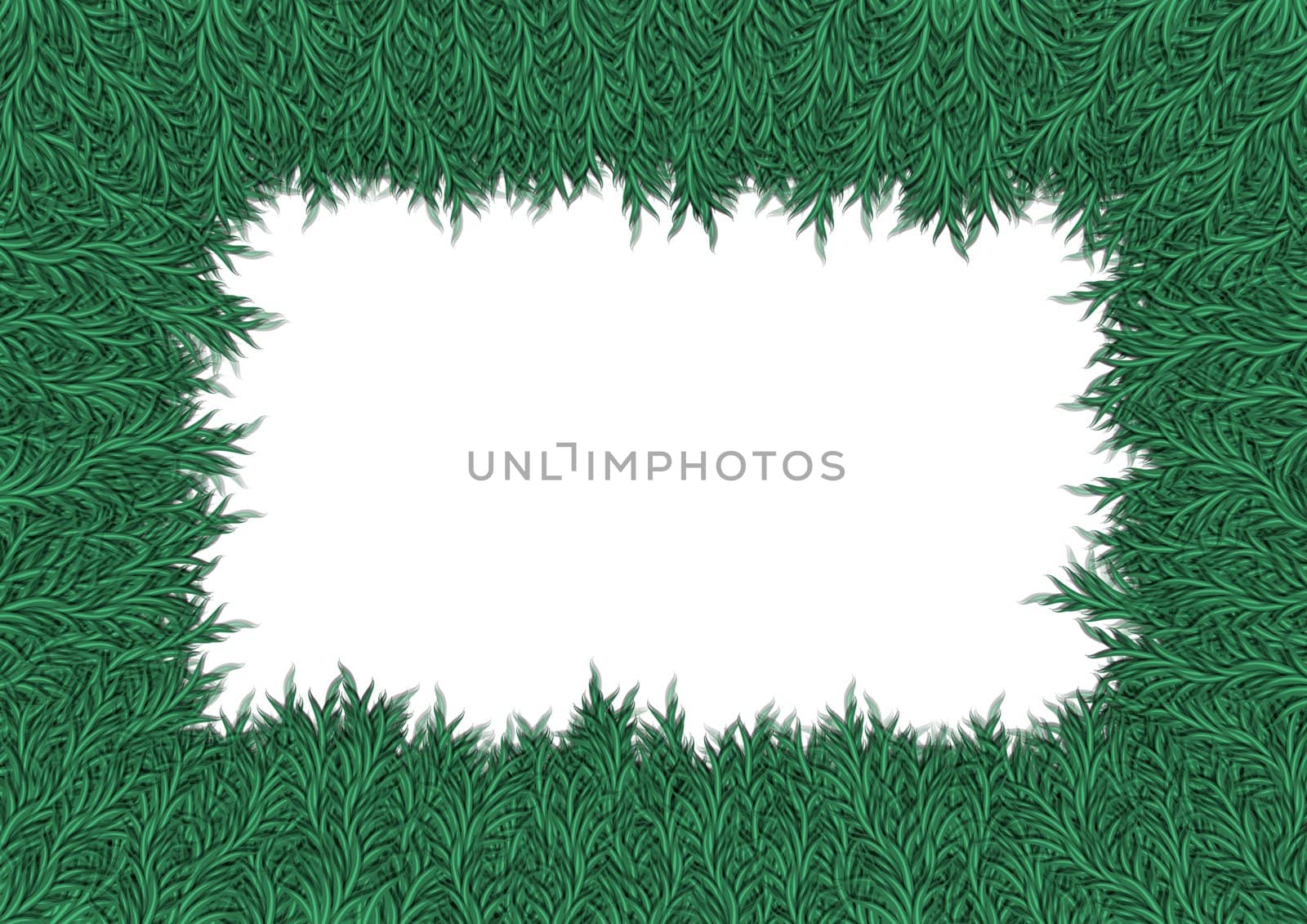 Frame made of Illustrated plants