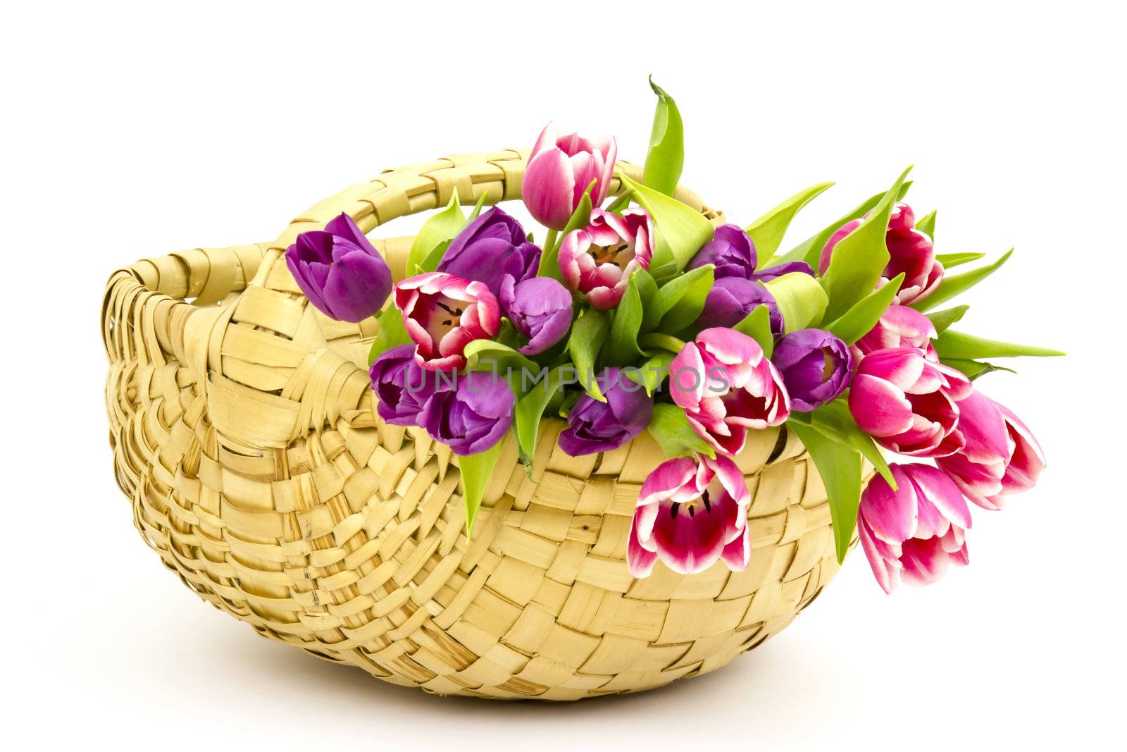 colourful tulips in a basket