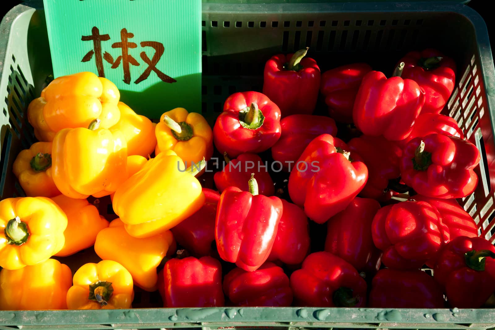 Harvested fresh red and yellow peppers in container for sale in Taiwan