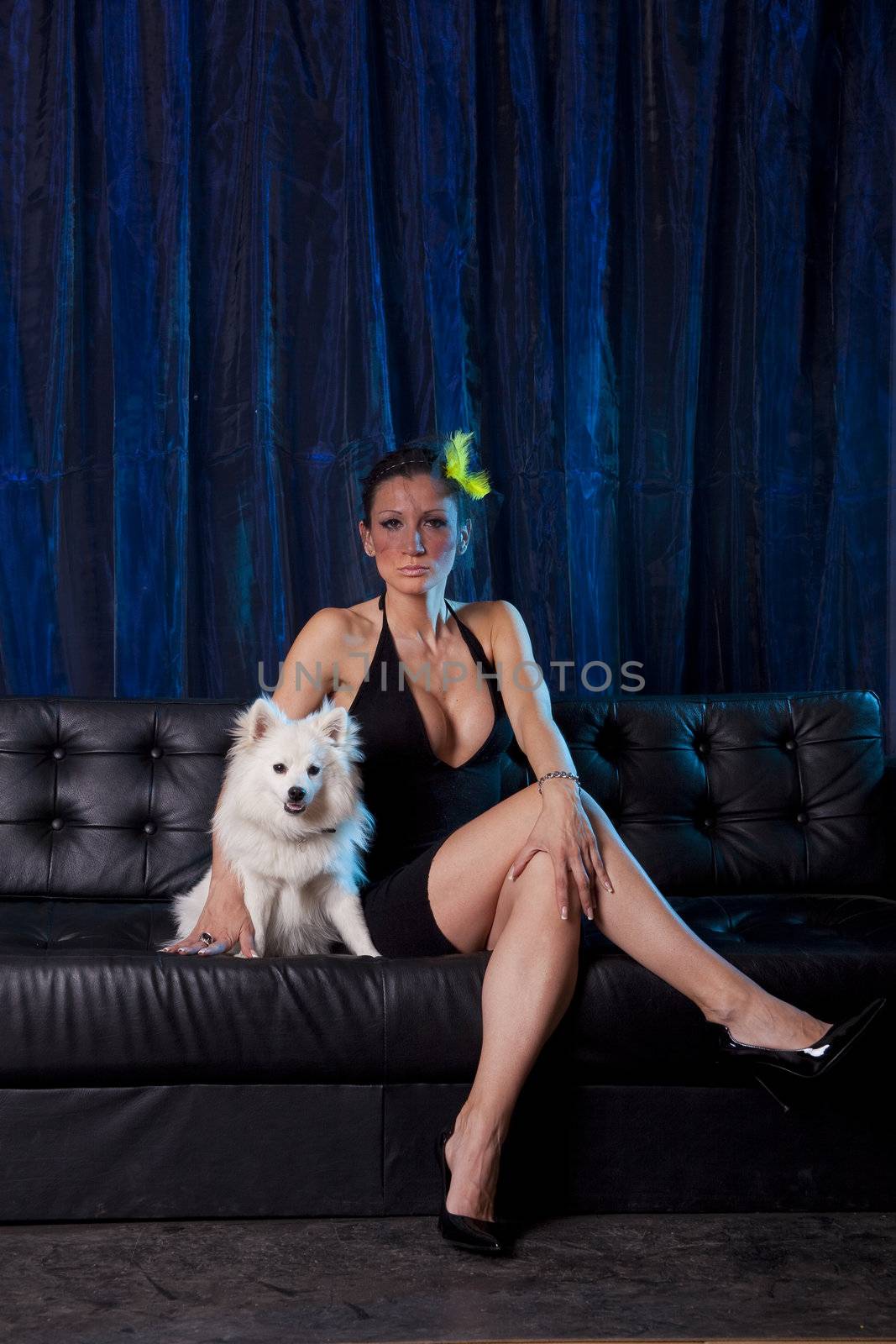 Sexy widow woman in black dres with white dog on couch