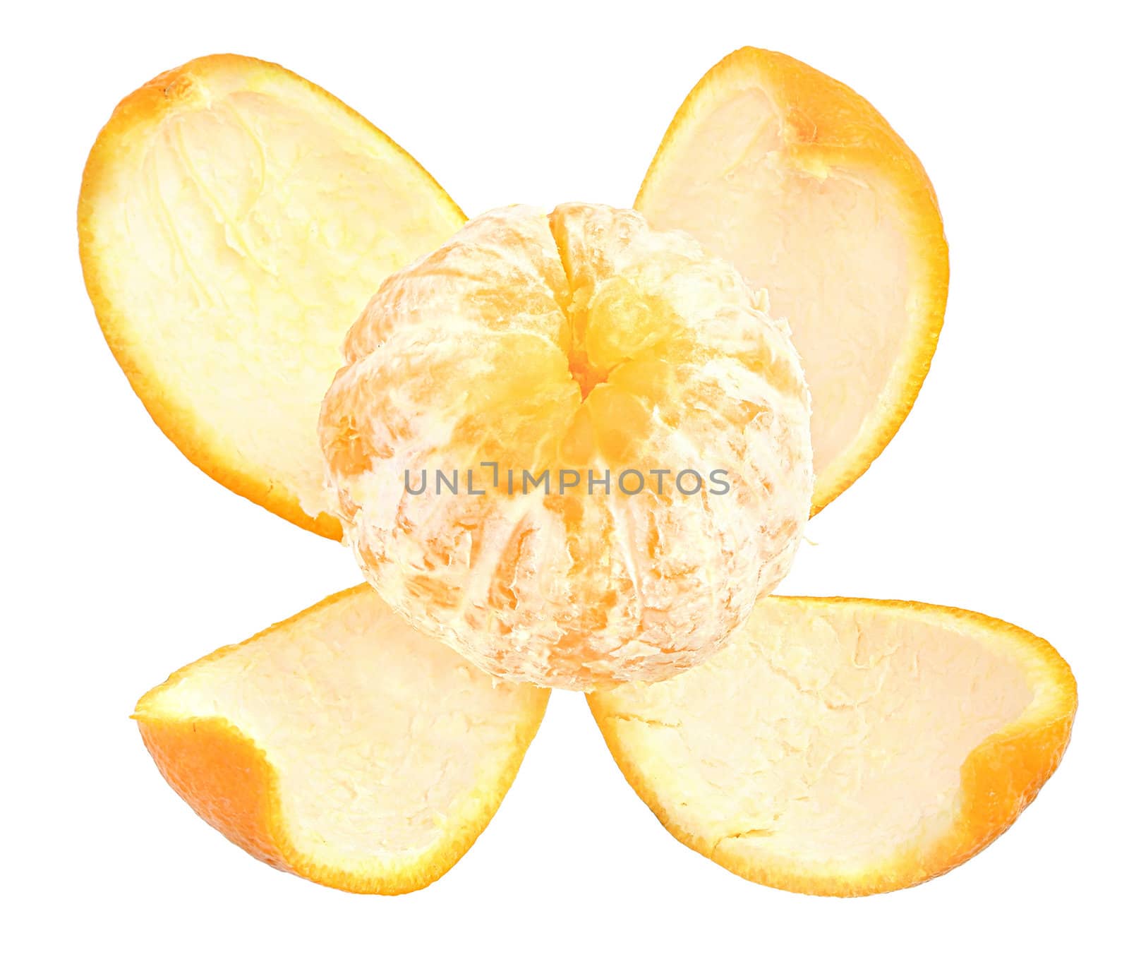 Ripe orange on a white background