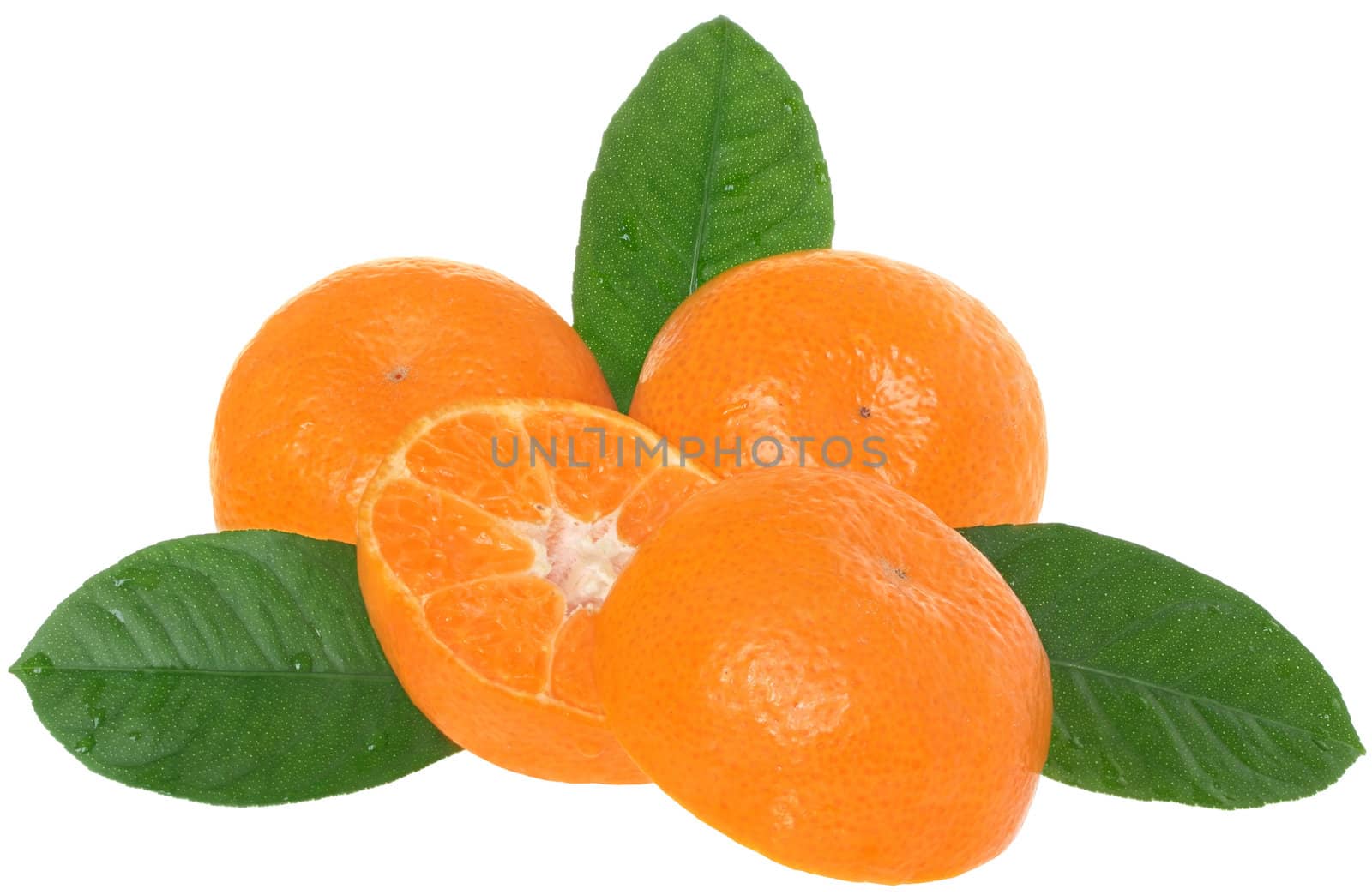 Ripe tangerines on a white background