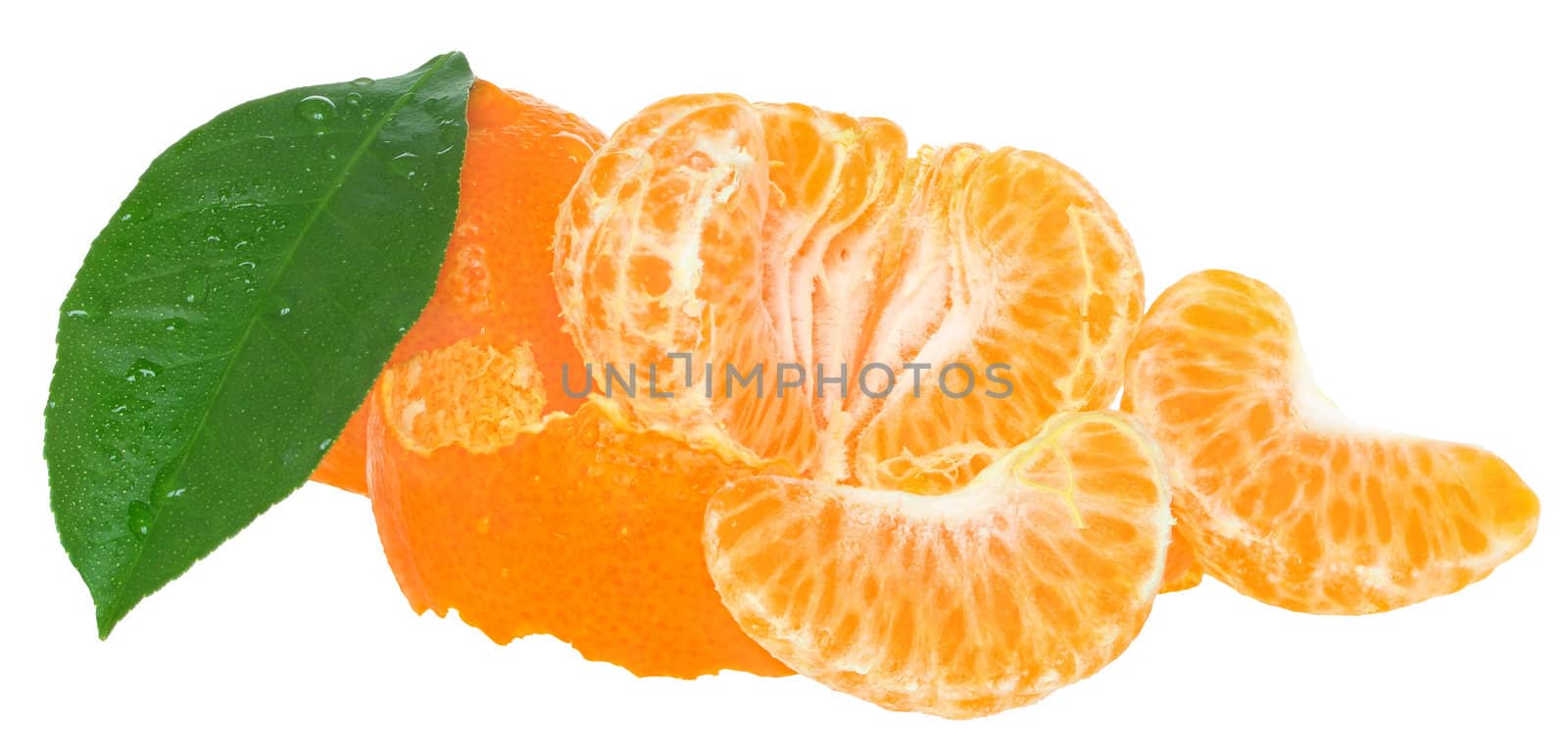 Ripe tangerines on a white background