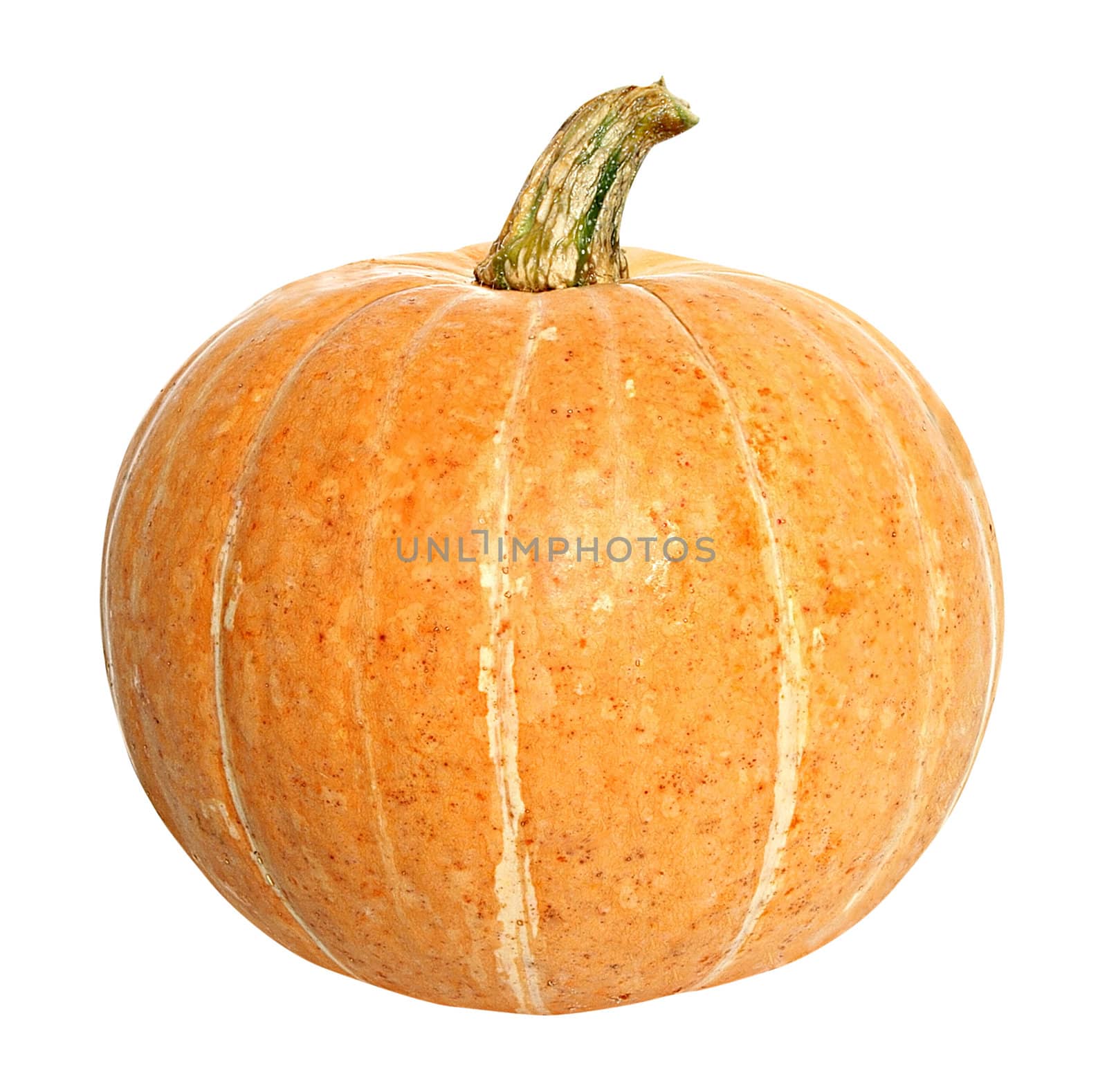 Ripe pumpkin on a white background.