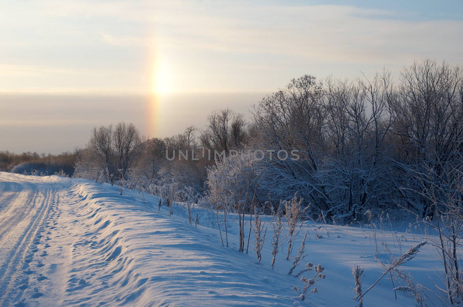 Road in a countryside in sunny winter rainbow day.Frozen trees in snowy field