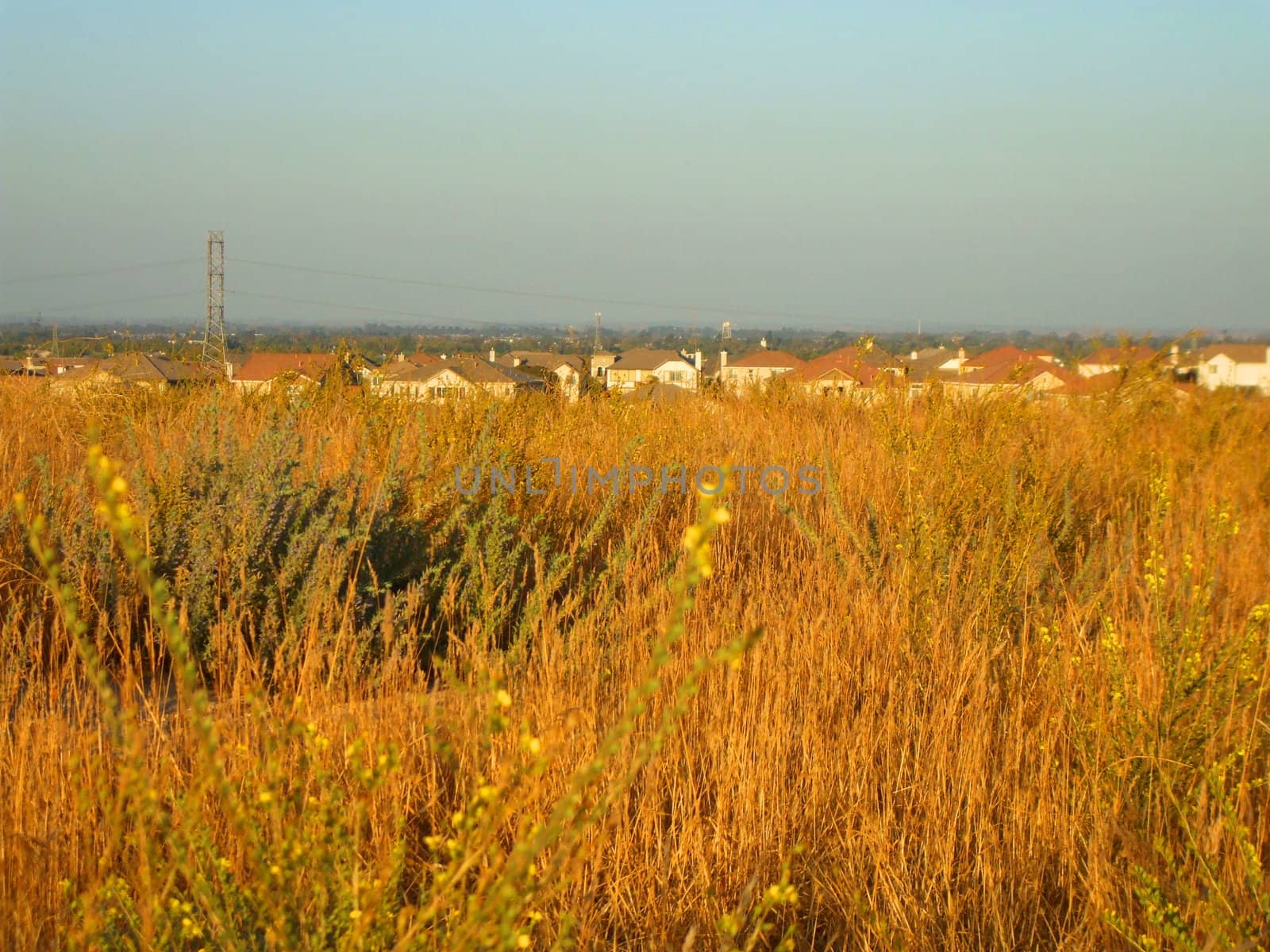 Group of houses in a horizon on a sunny day.