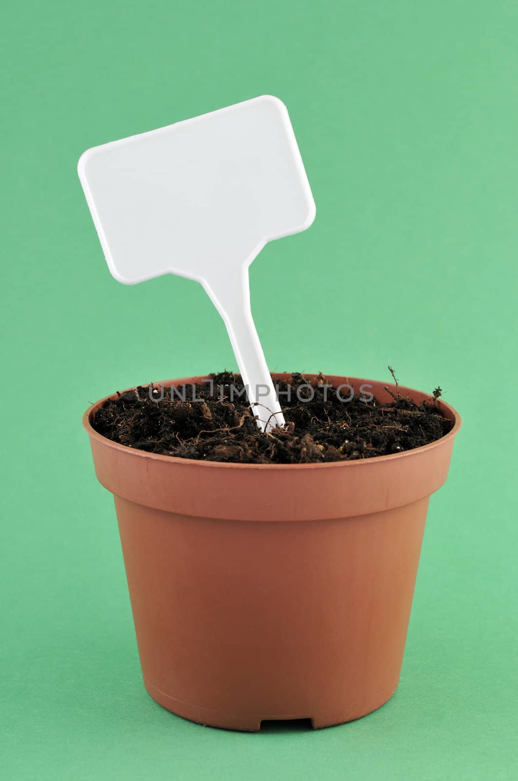 Blank white price tag in vase with soil