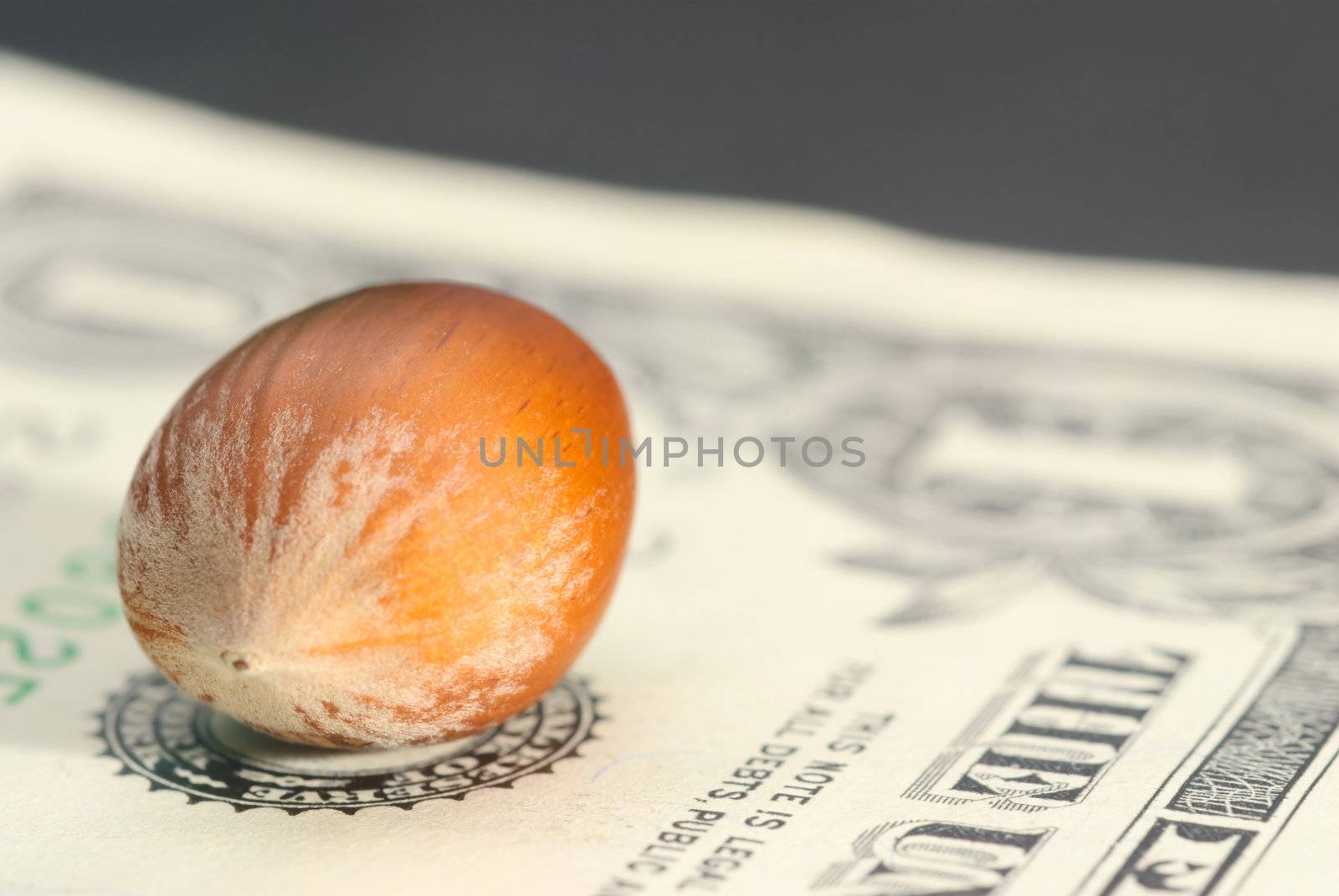 Hazelnut stands at the center of the paper dollar