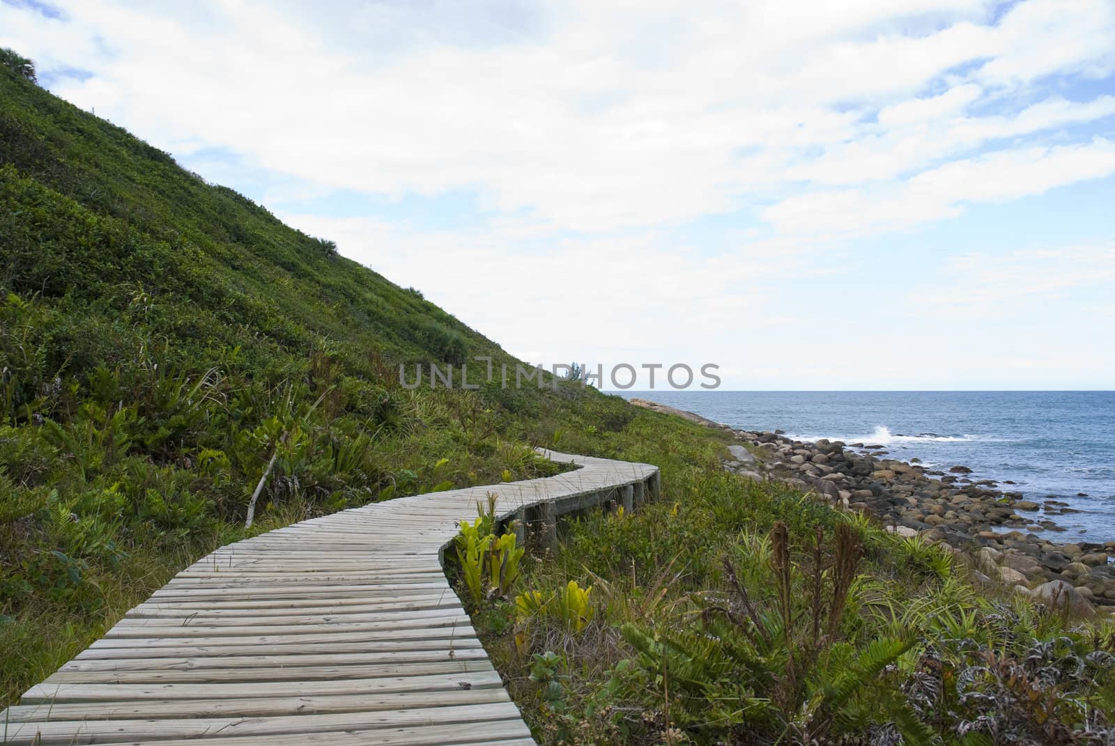 Deserted tropical coastline, with loads of copy space.