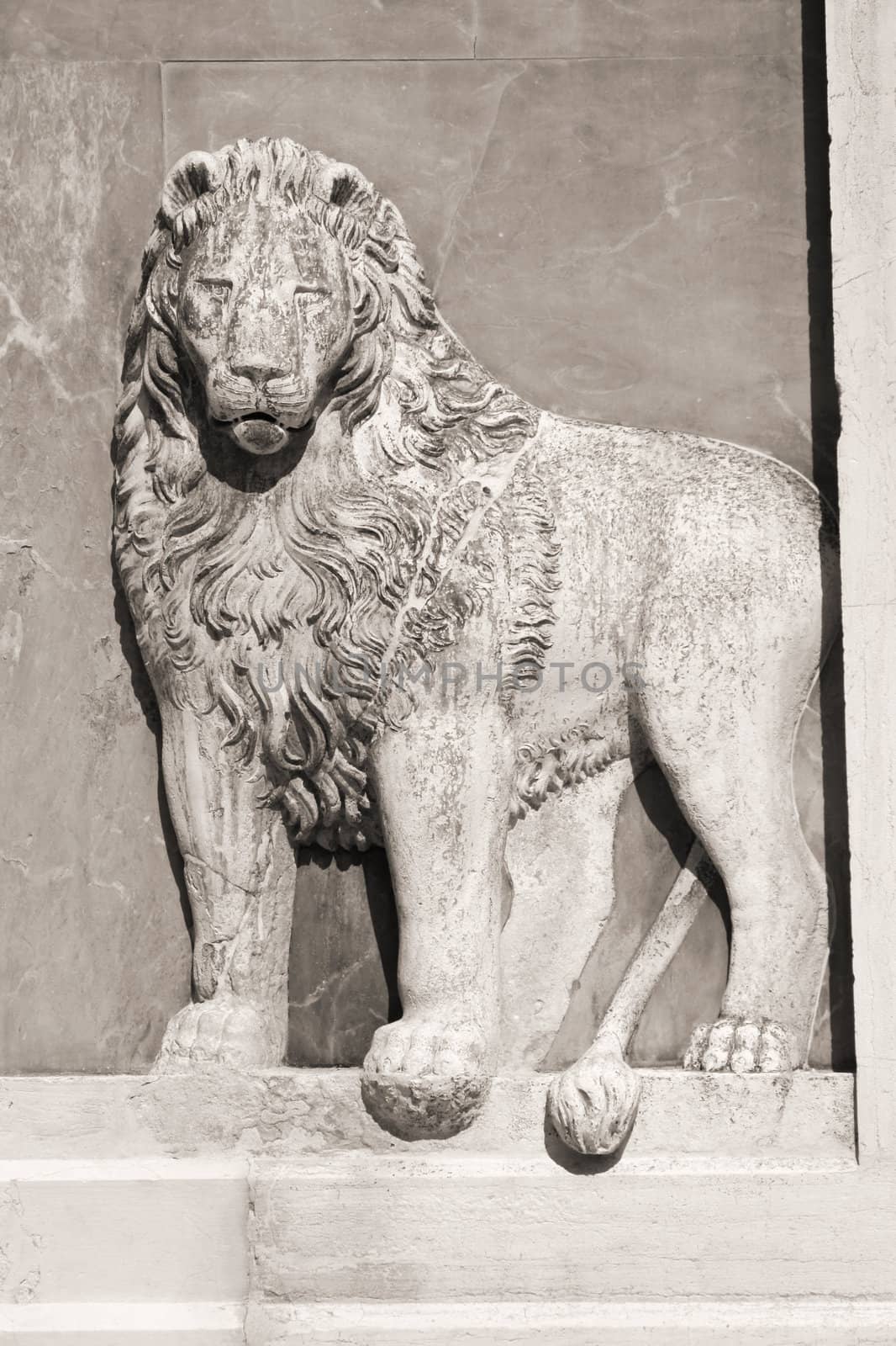 Lion bas relief sculpture in Venice, Italy