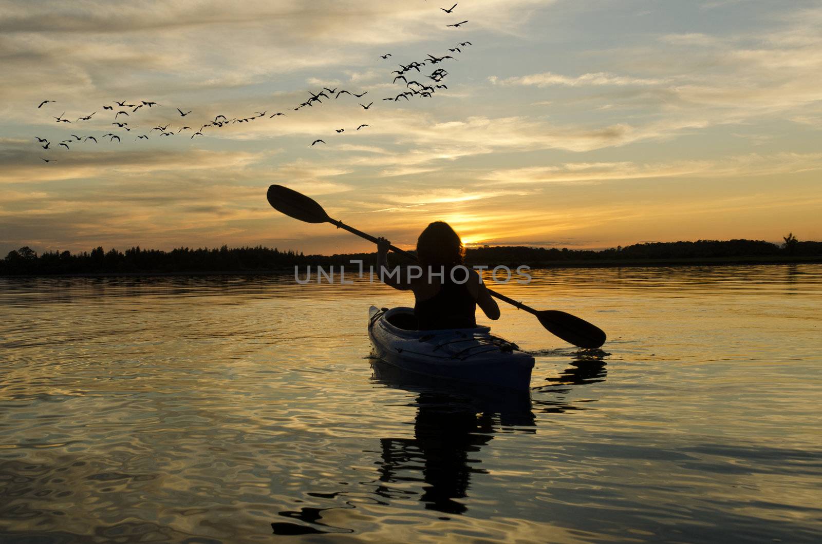 Woman kayaking on Lake Ontario at sunset with a flock of geese flying in the distance