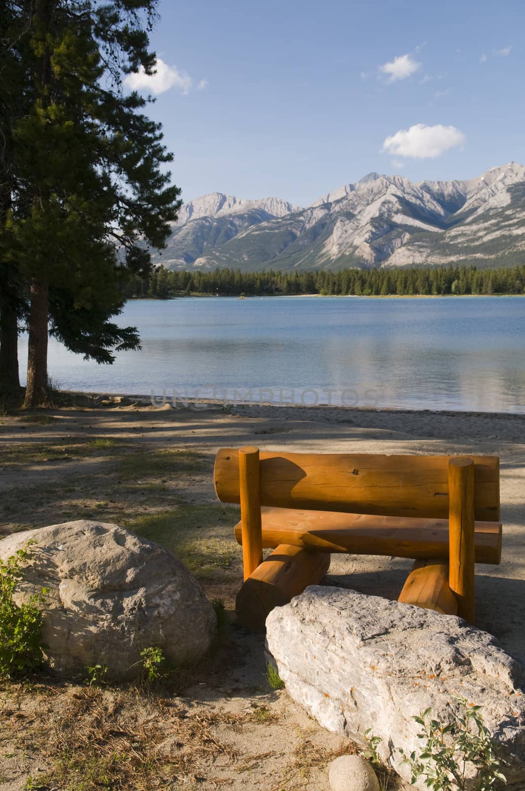 Pine bench at the shore of a lake in Jasper National Park, Alberta, Canada