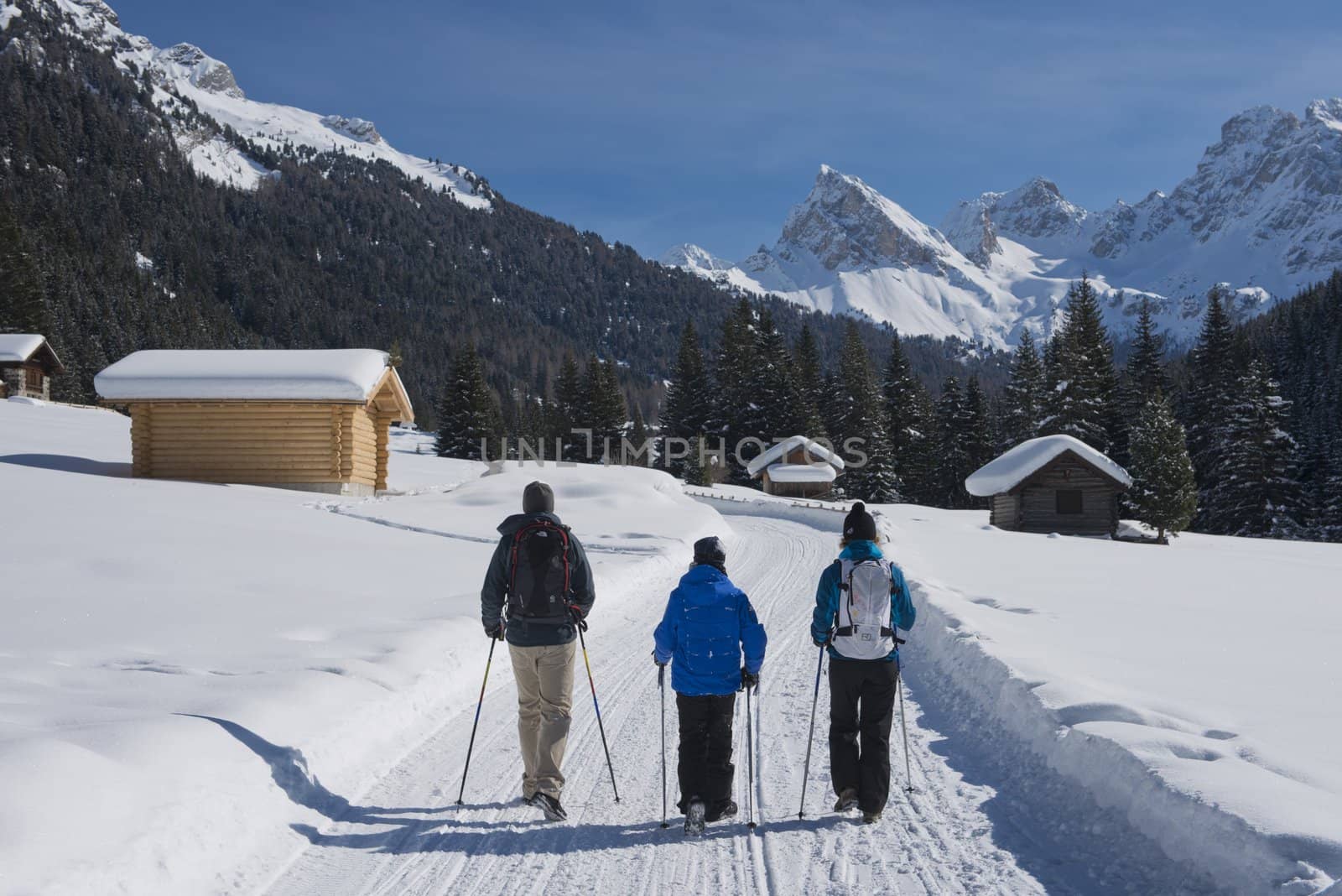 Family Hiking on a snowy Trail by faabi