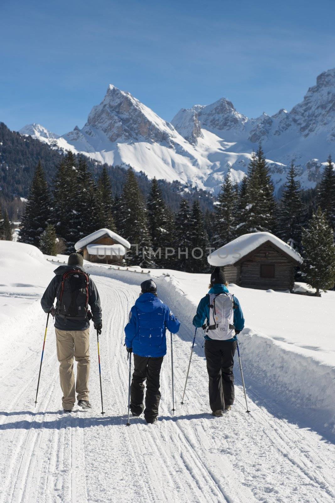 Family Hiking on a snowy Trail by faabi