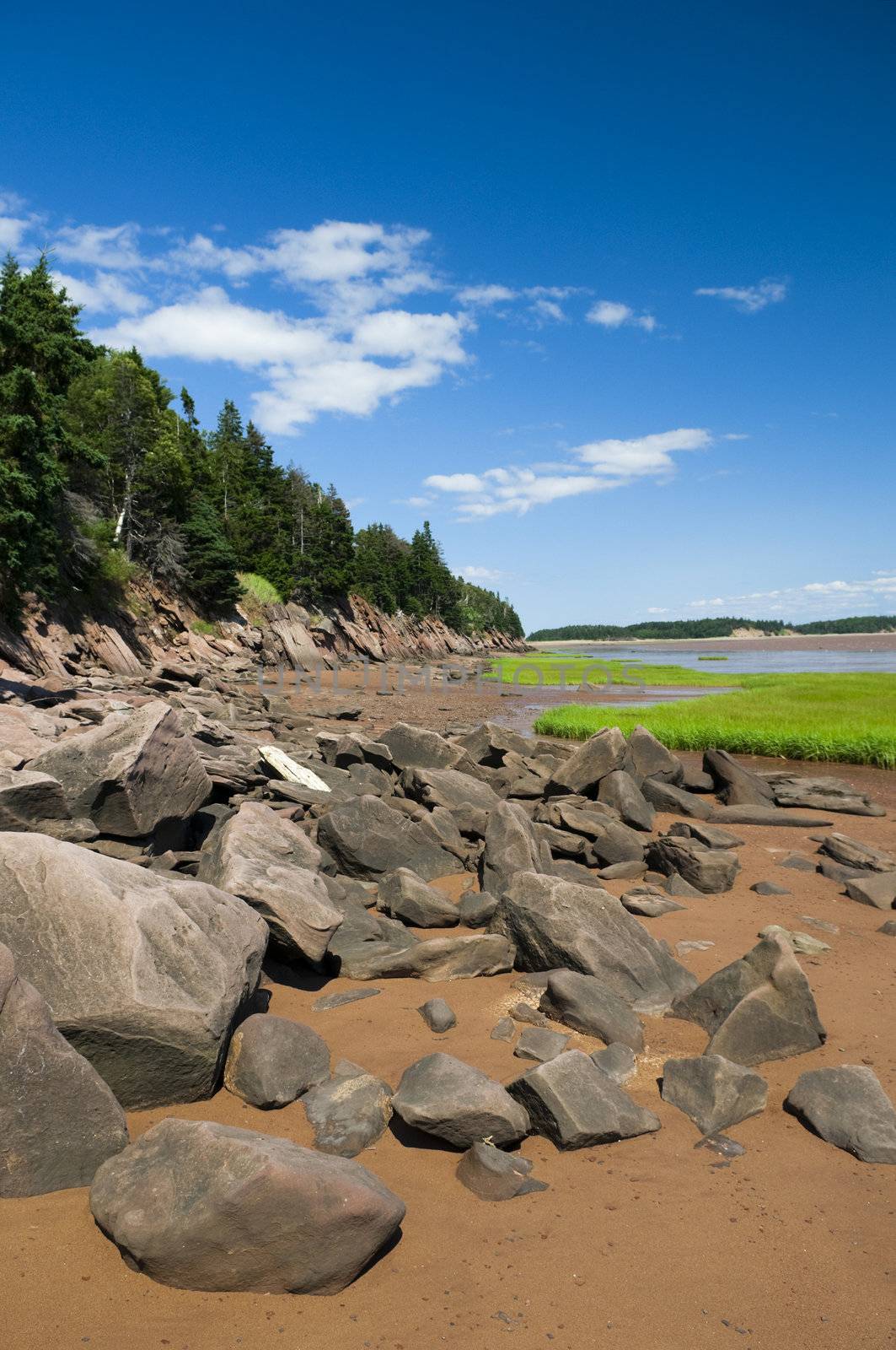 Fundy Shoreline by Gordo25