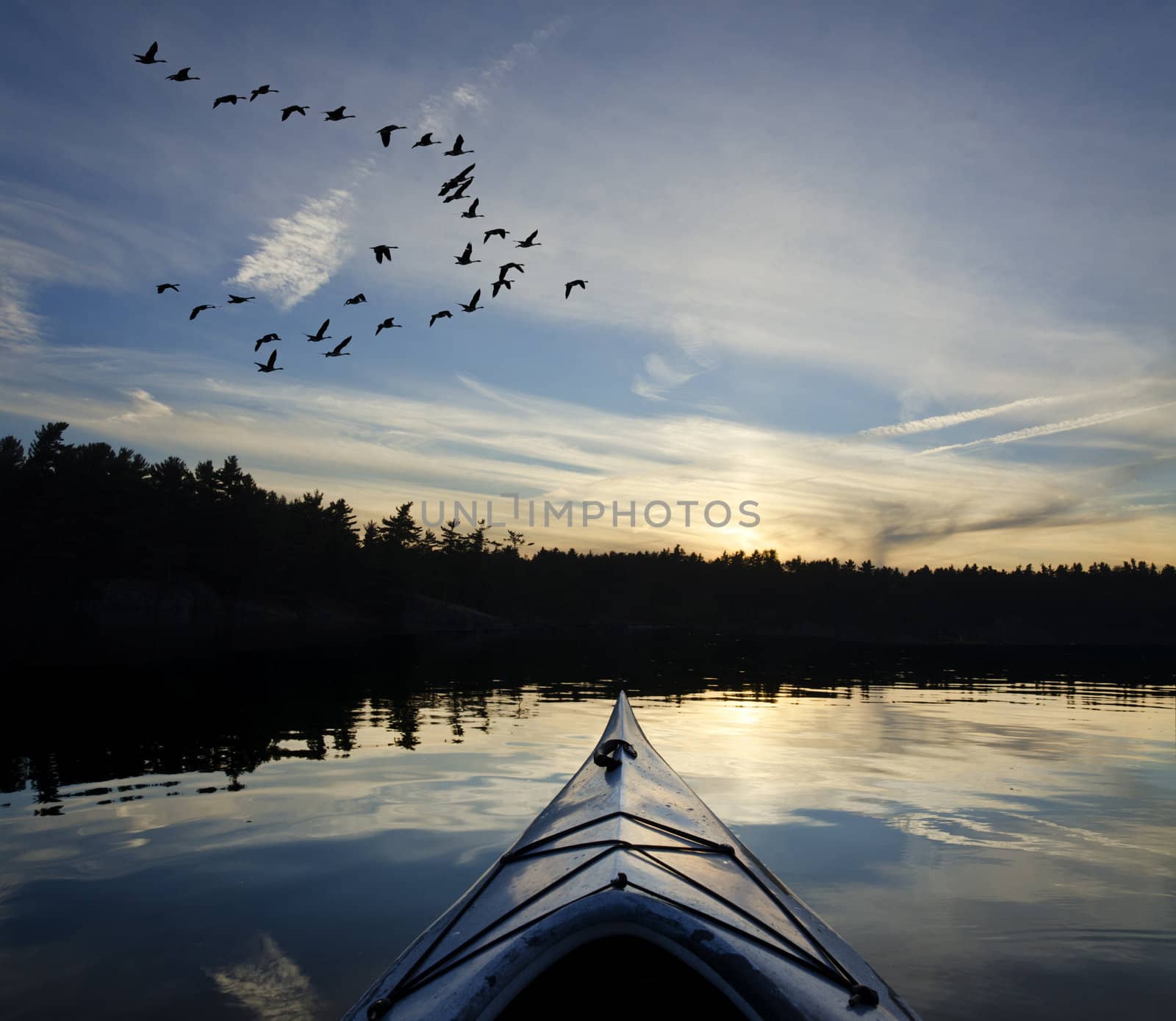 Kayak and Geese at Sunset by Gordo25