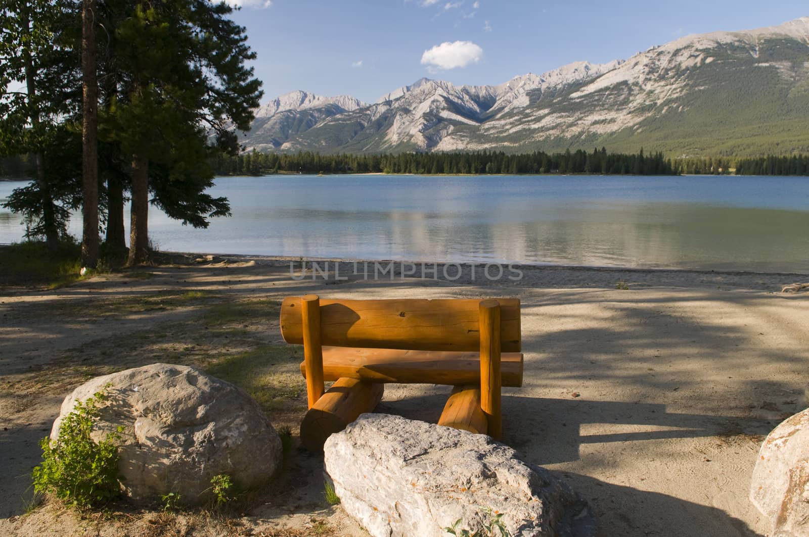 Pine Bench at Lake by Gordo25